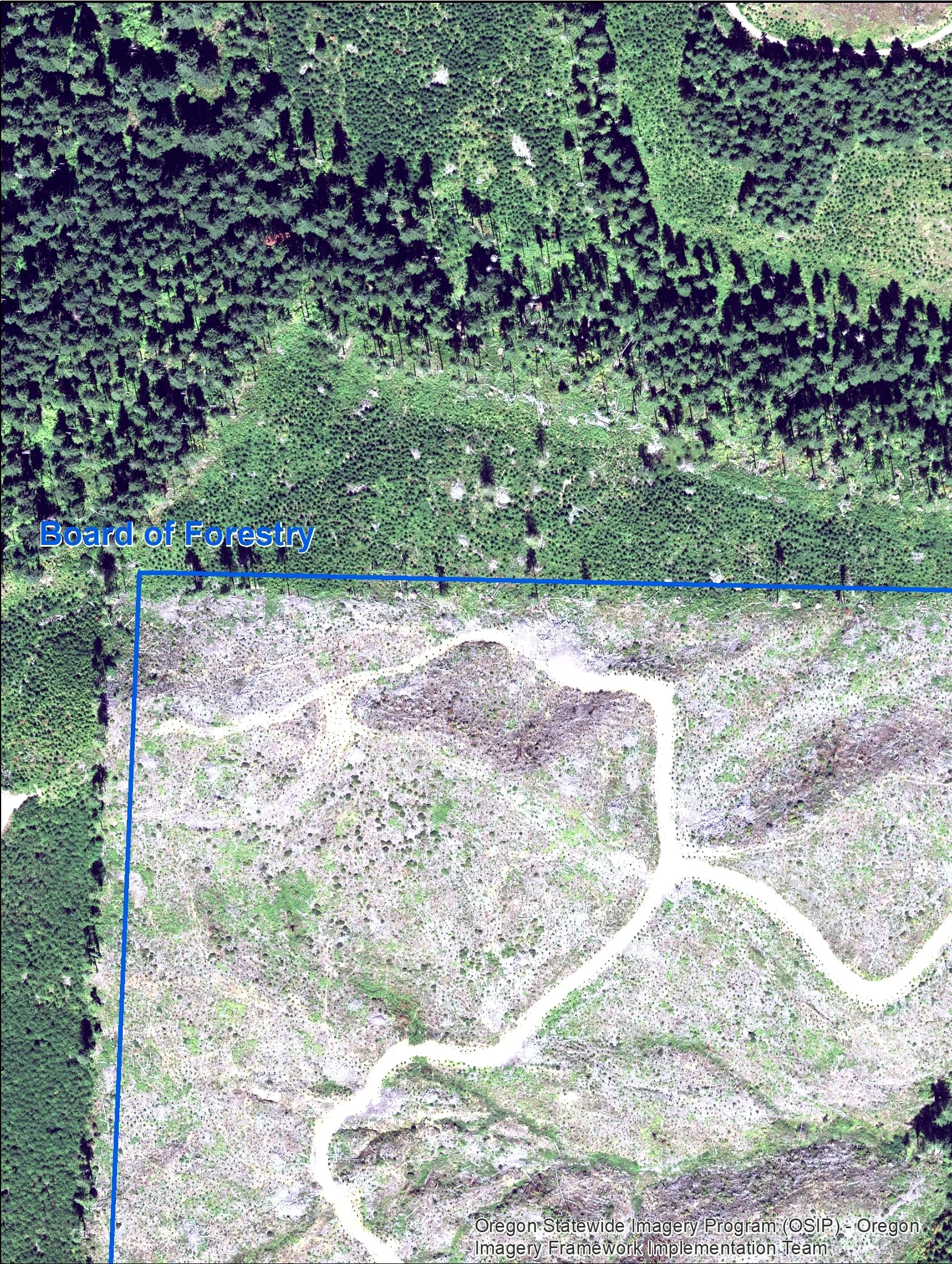Oregon Department of Forestry Clearcut Comparison