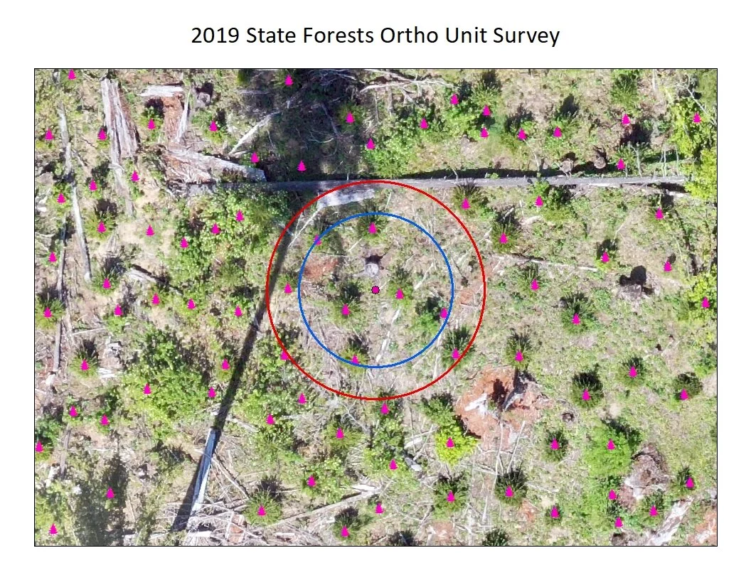 Orthoimagery Analysis for the Reforestation Unit at the Oregon Department of Forestry