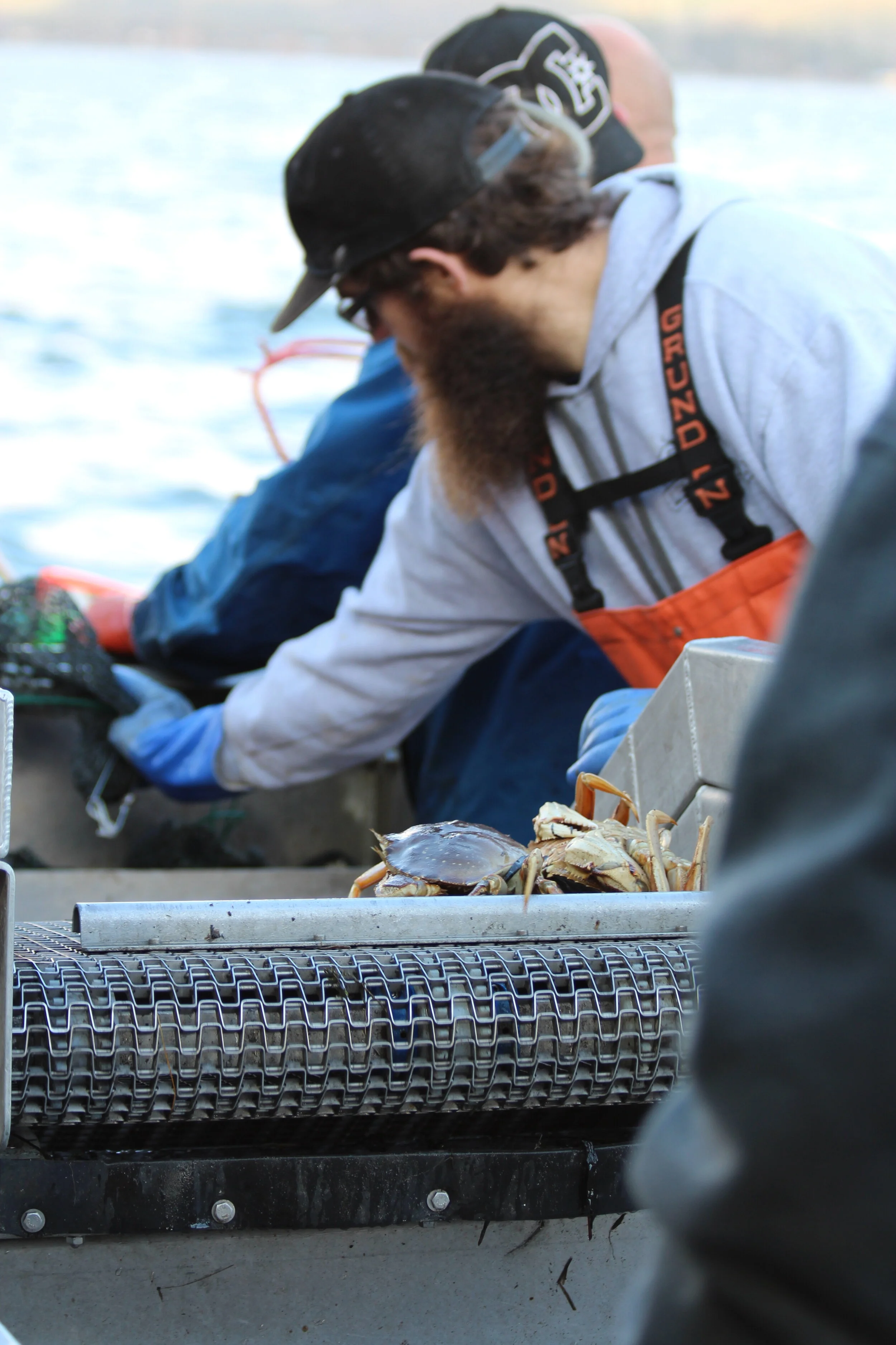 Crabbing Photo.JPG