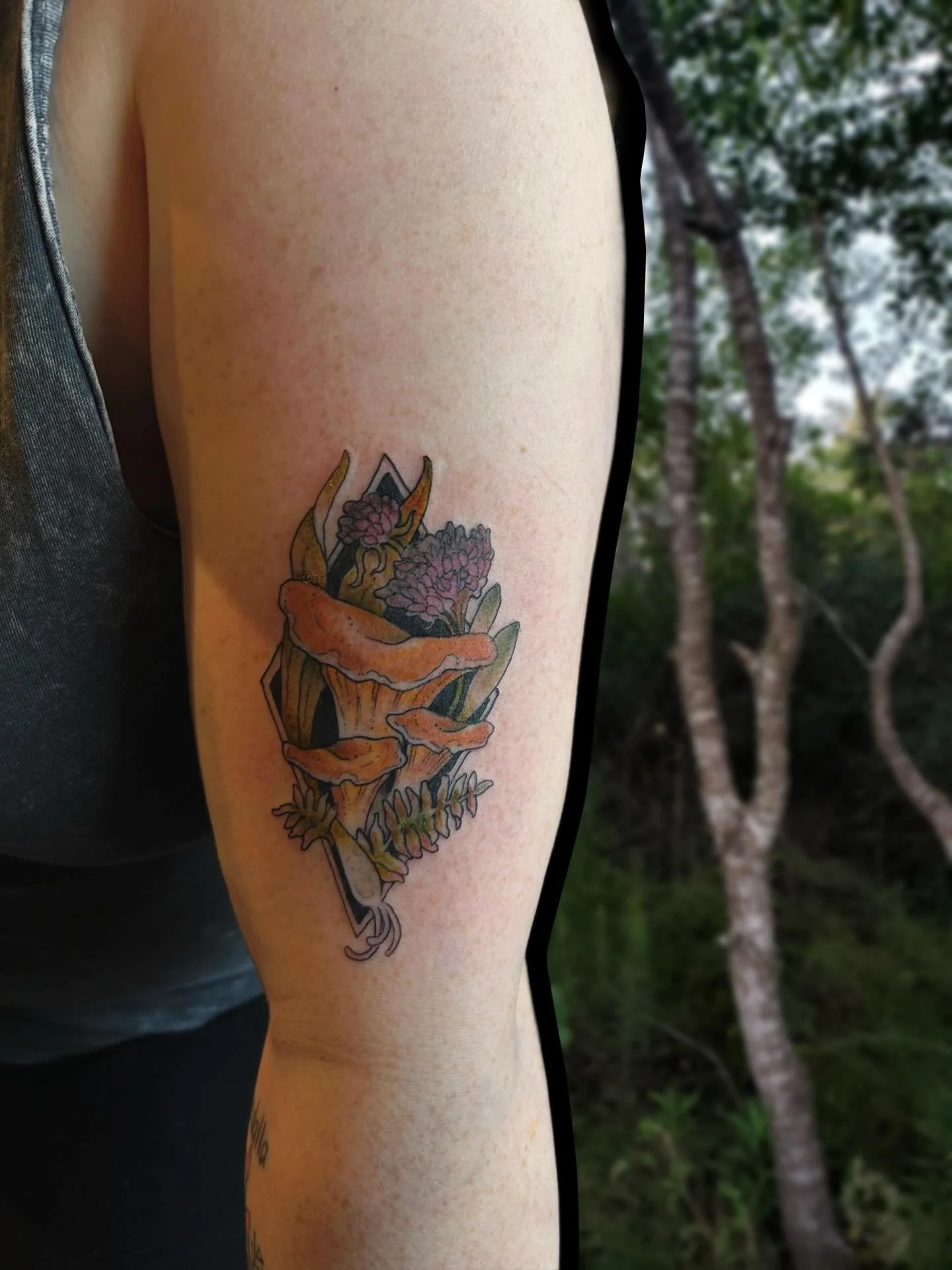 🍄&zwj;🟫🌿Foraging goodies. Thank you so much Lindy! What a pleasure, literally so sweet. Thank you for the opportunity to give you something special. I love the woods!🌿🍄&zwj;🟫