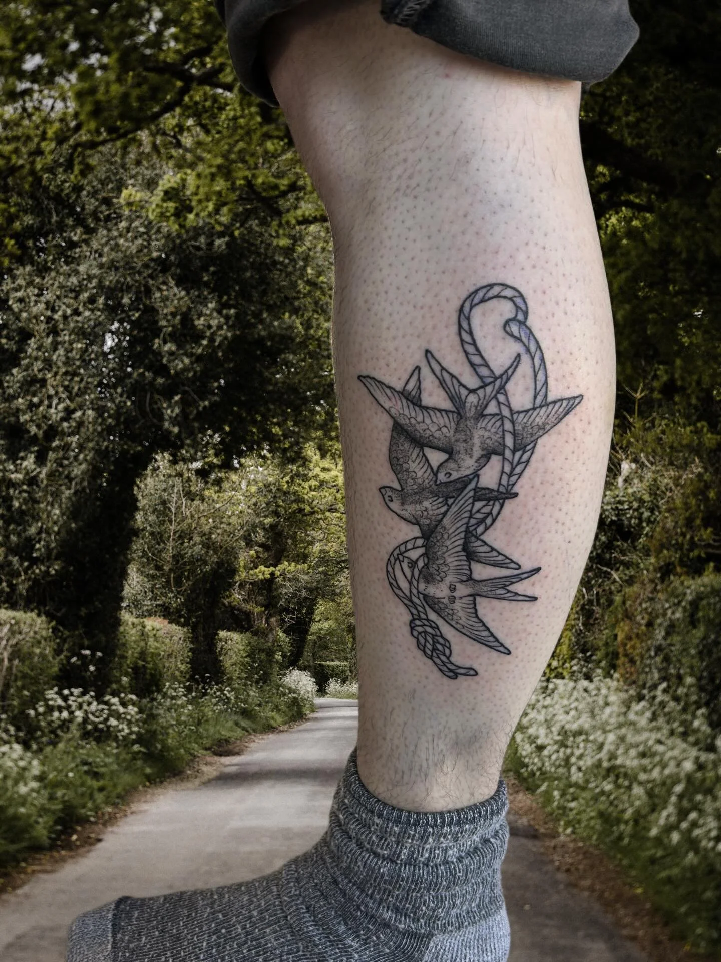 🐦 Coupla two tree birds. Thank you so much always 💐. Hoping this sunshine lingers a little longer, and the wings get to outstretch and kiss the sun!🐦