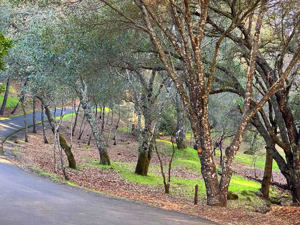 02.jpg