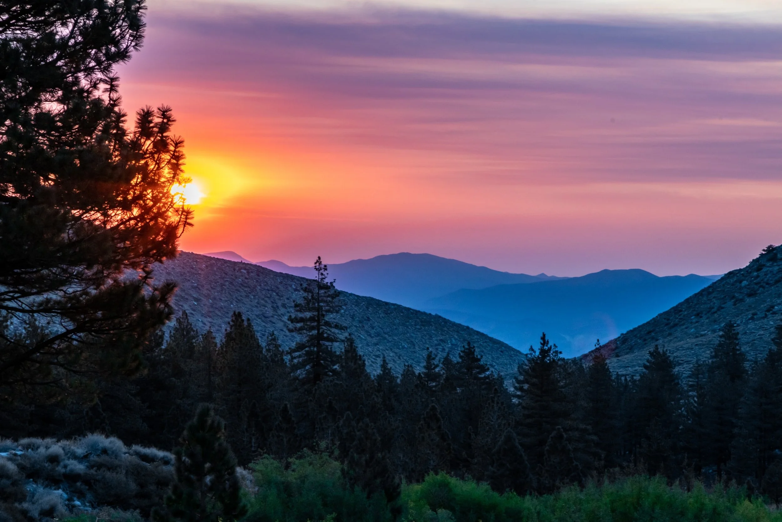 Illumination Technologies California to Deliver Fire Prevention System to Napa County