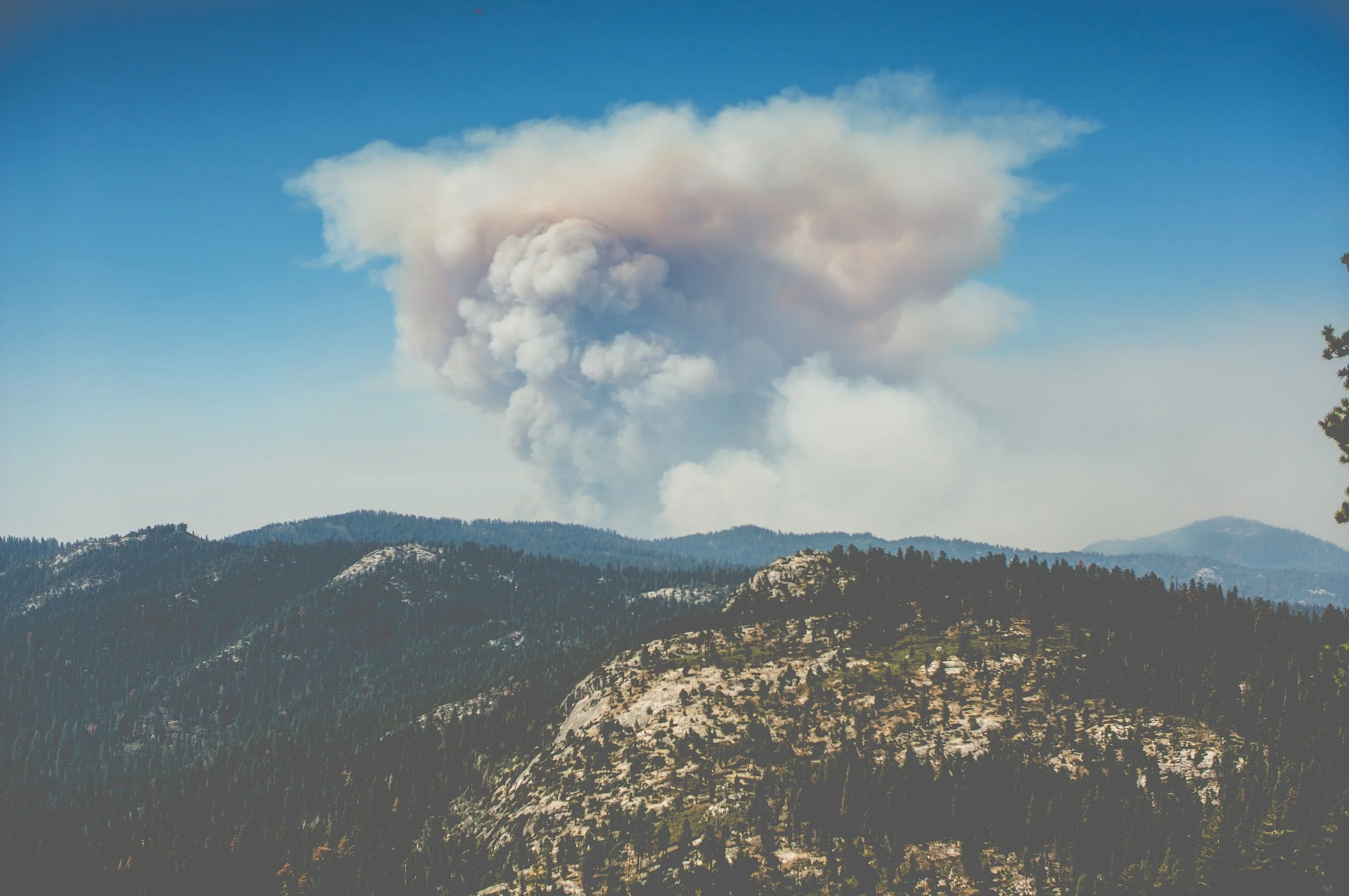 Will the wildfires create an insurance desert in California North Coast?