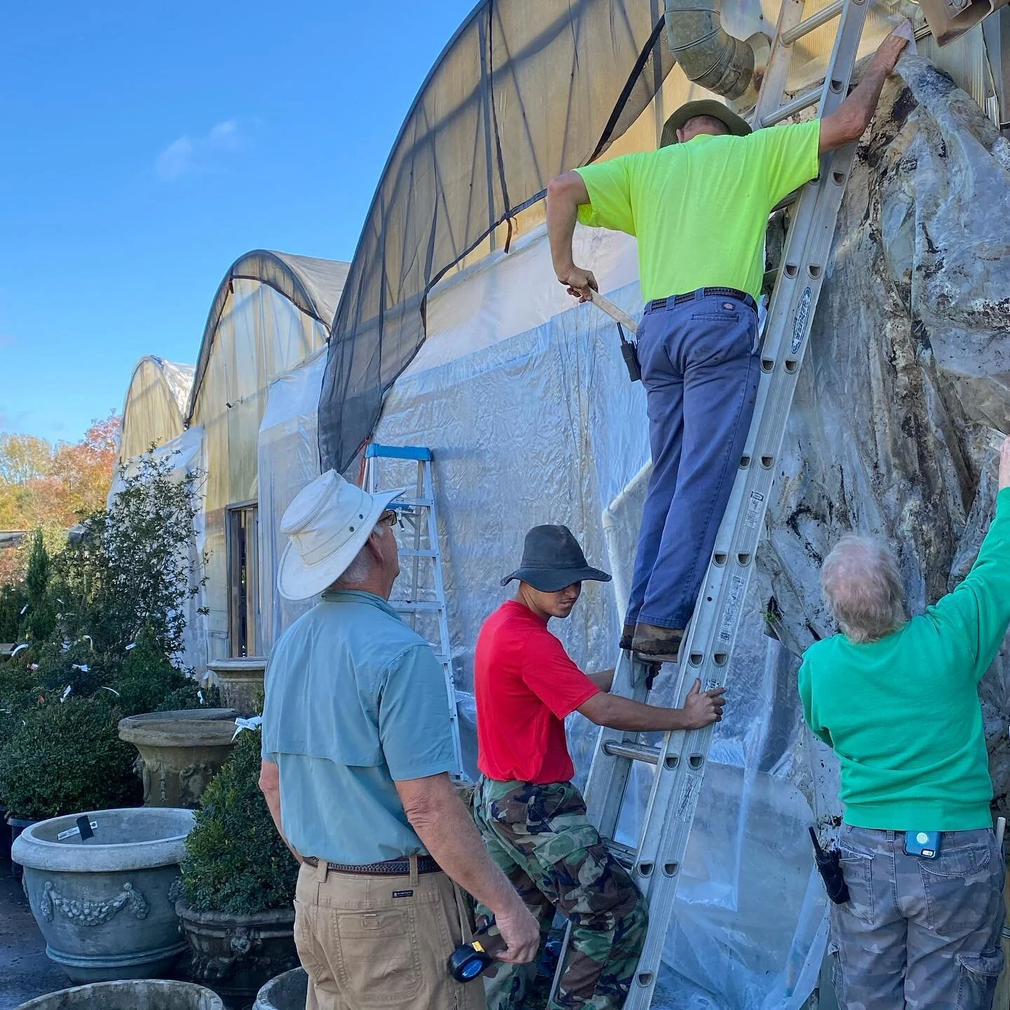 Harwell's Green Thumb Nursery