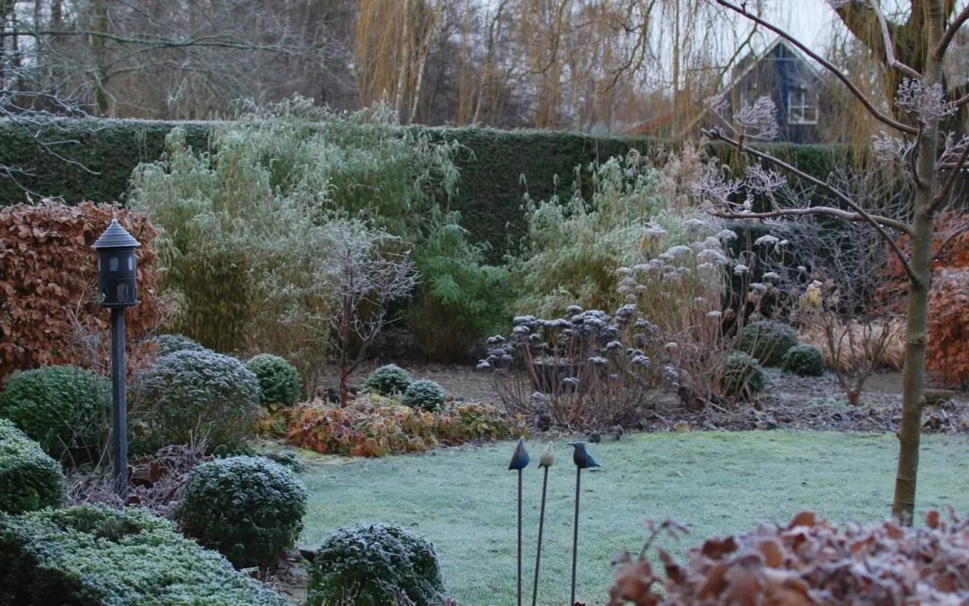 How to Create a Garden That Looks Beautiful All Year Round