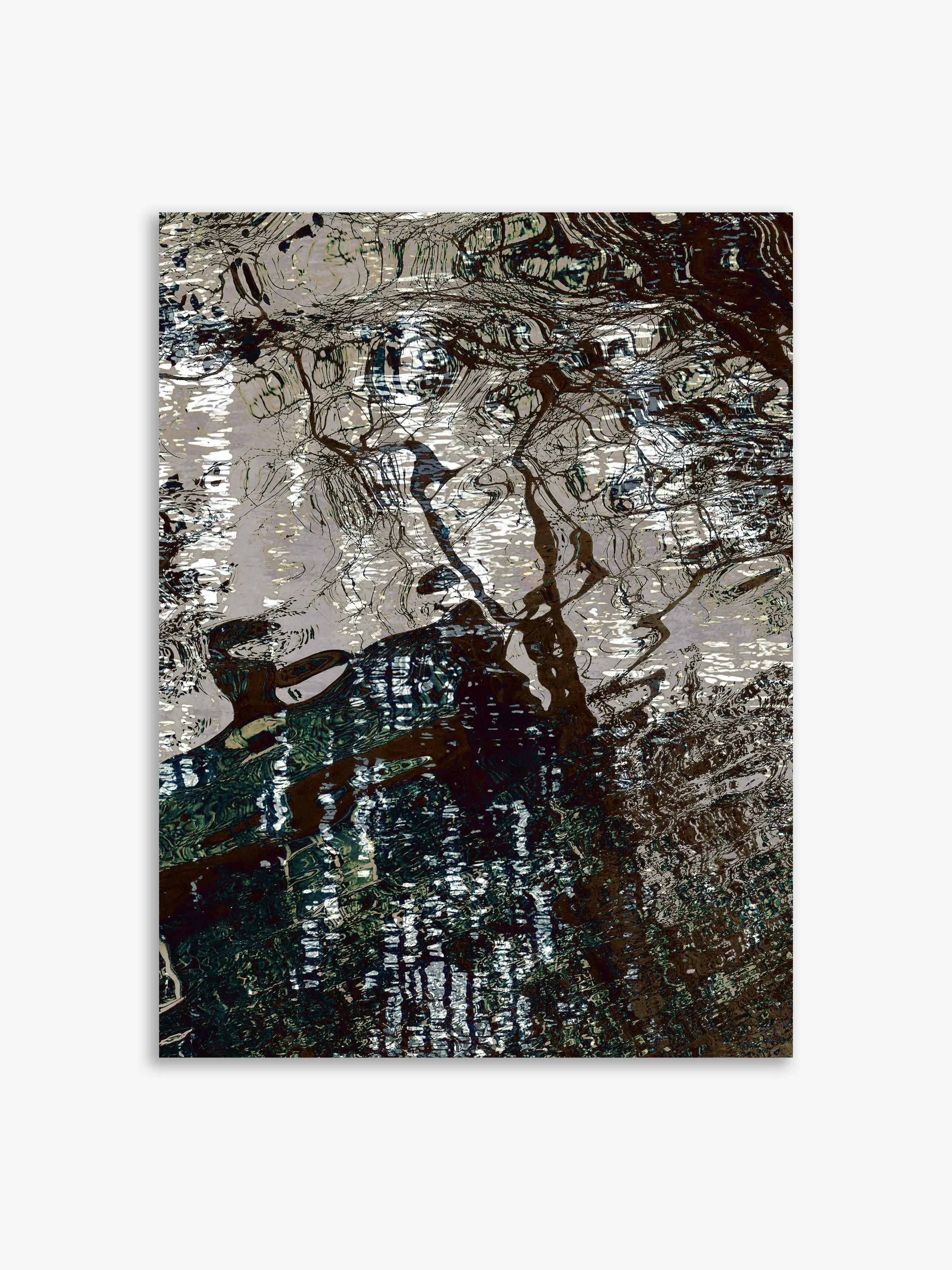 Naomi Diamond: Rippling Shadows
