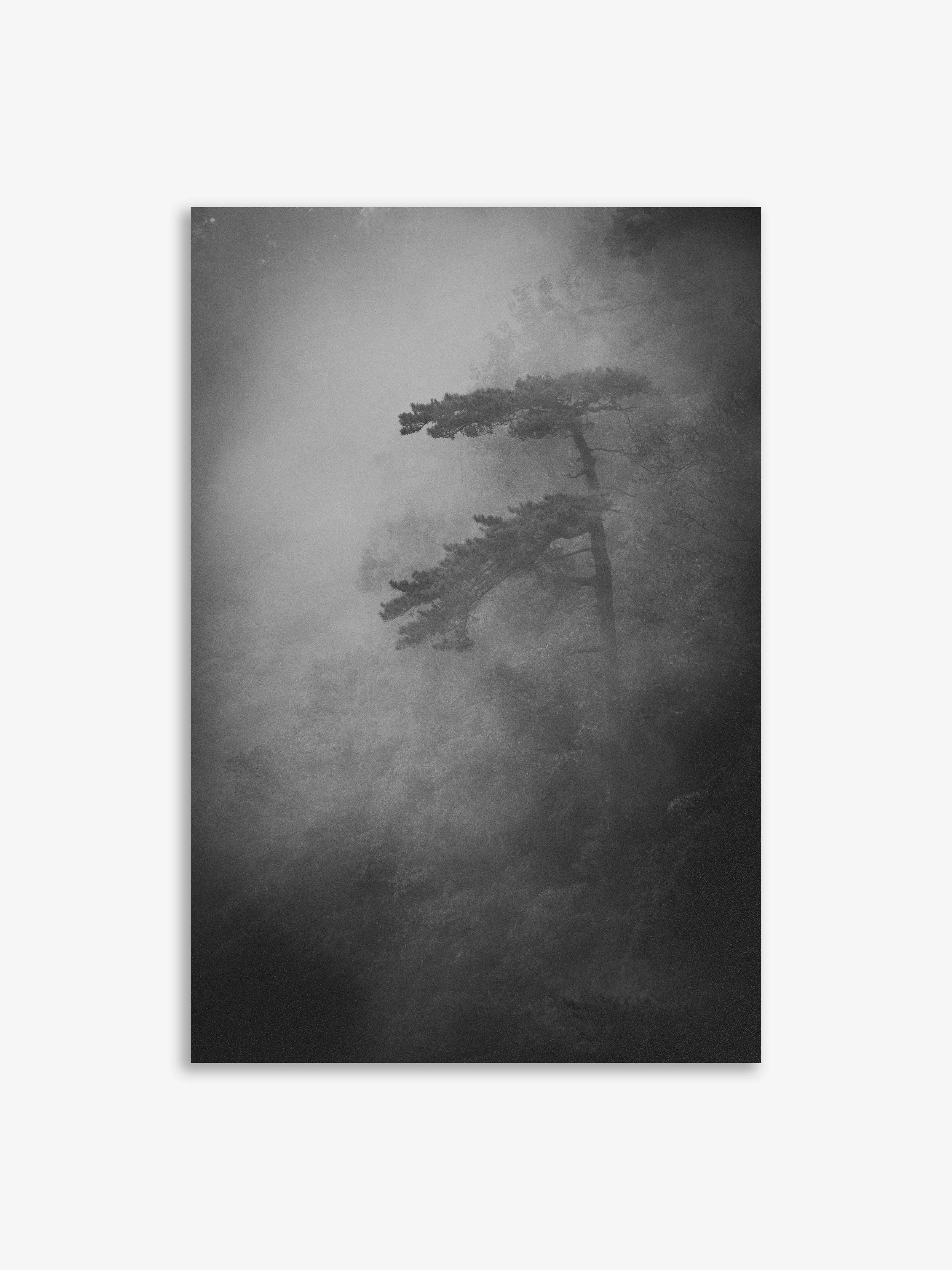 Long Liu: Arrival Series-3
