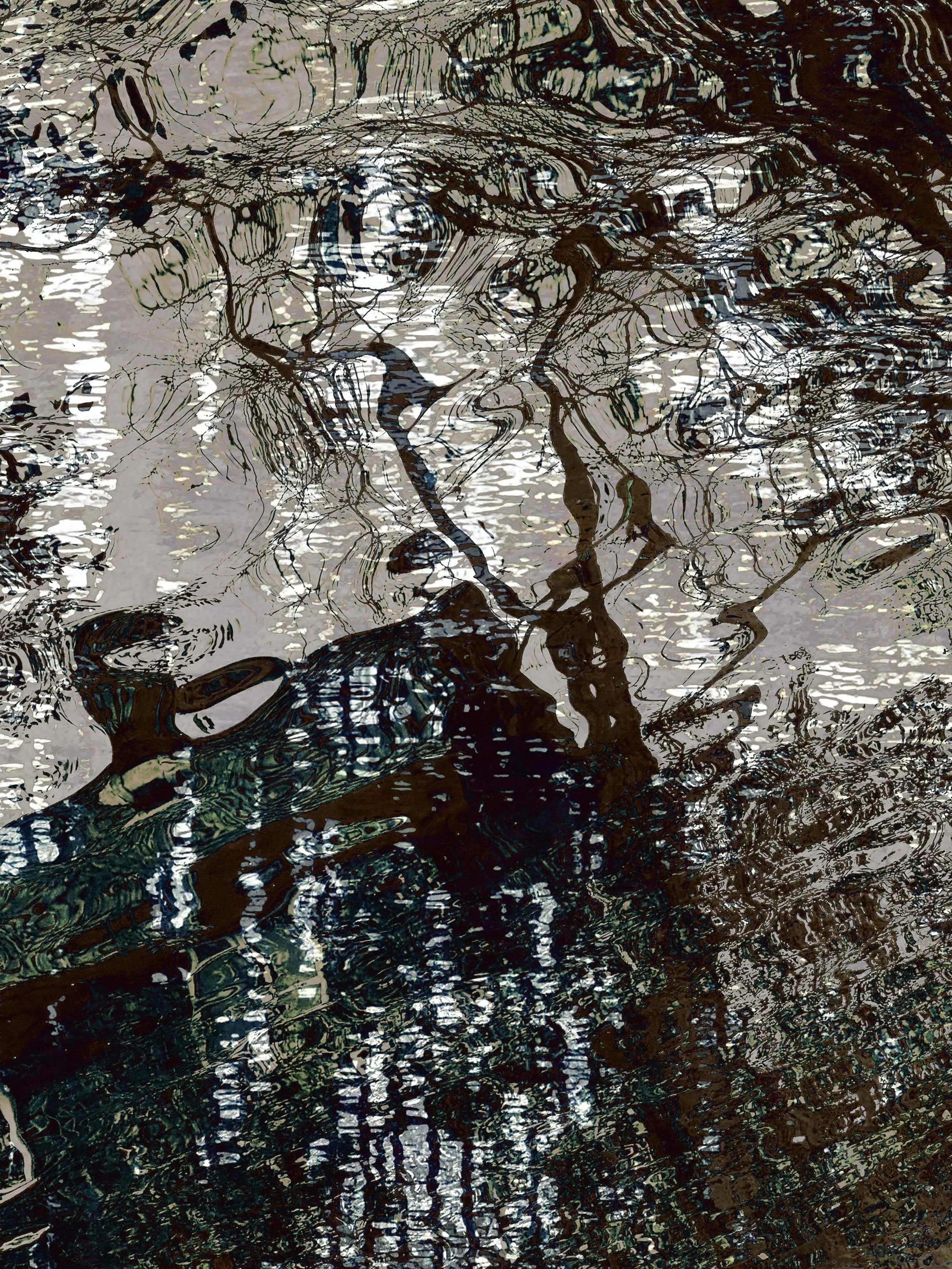 Naomi Diamond_Rippling Shadows.jpeg