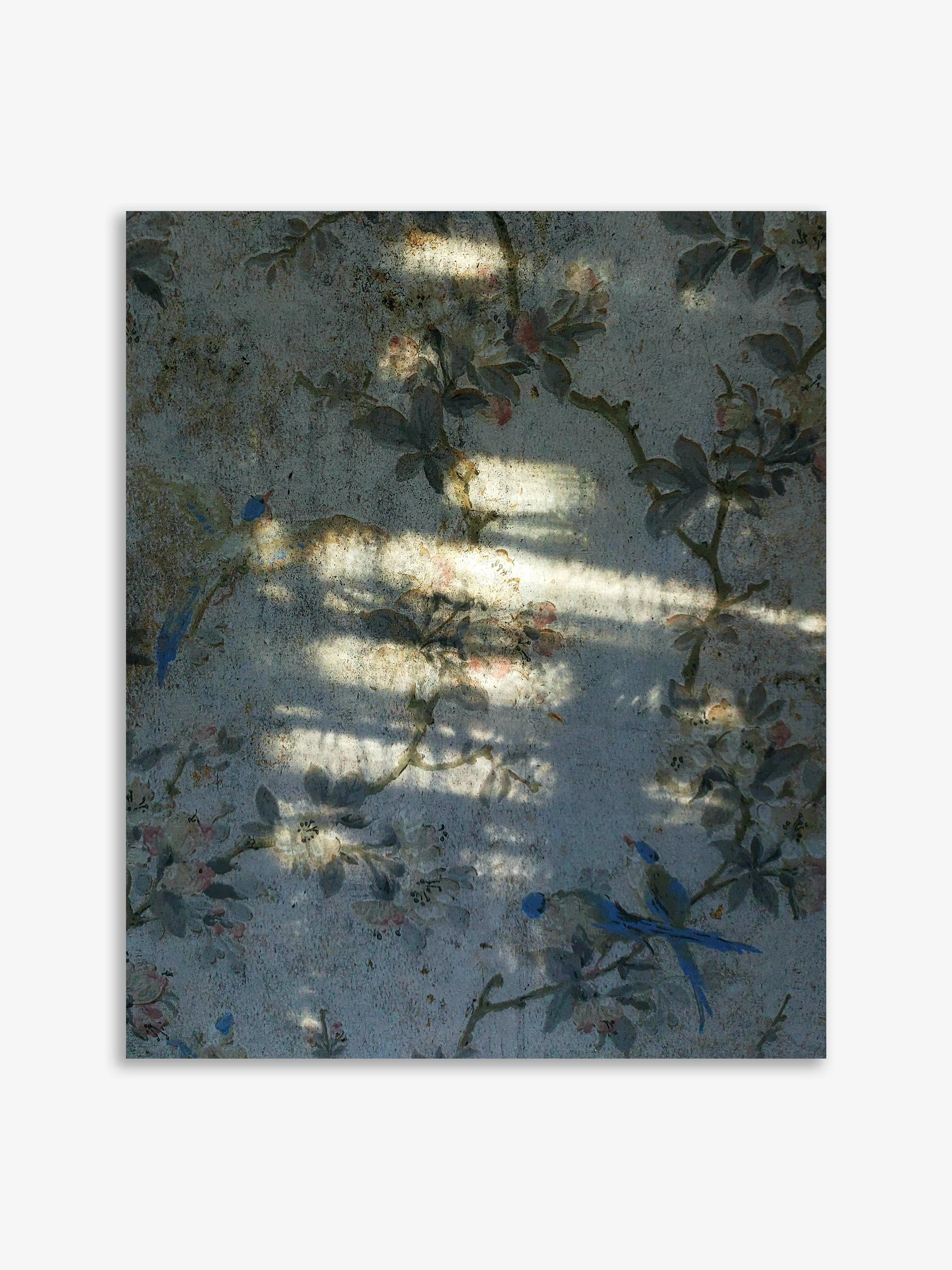 Paul Morris: From a Room
