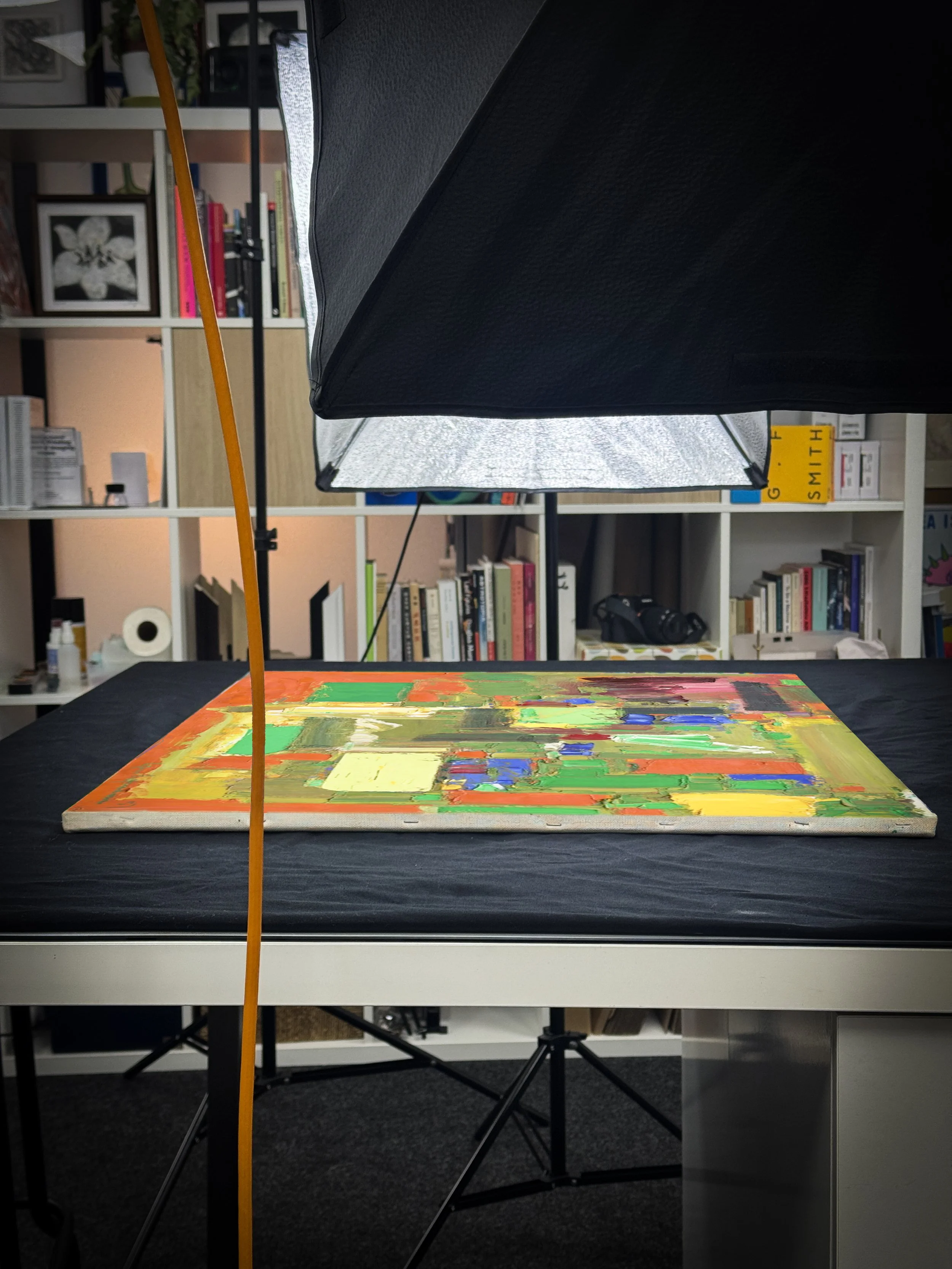 Photograph of an art painting on a table, surrounded by studio equipment and background shelves filled with books and objects.