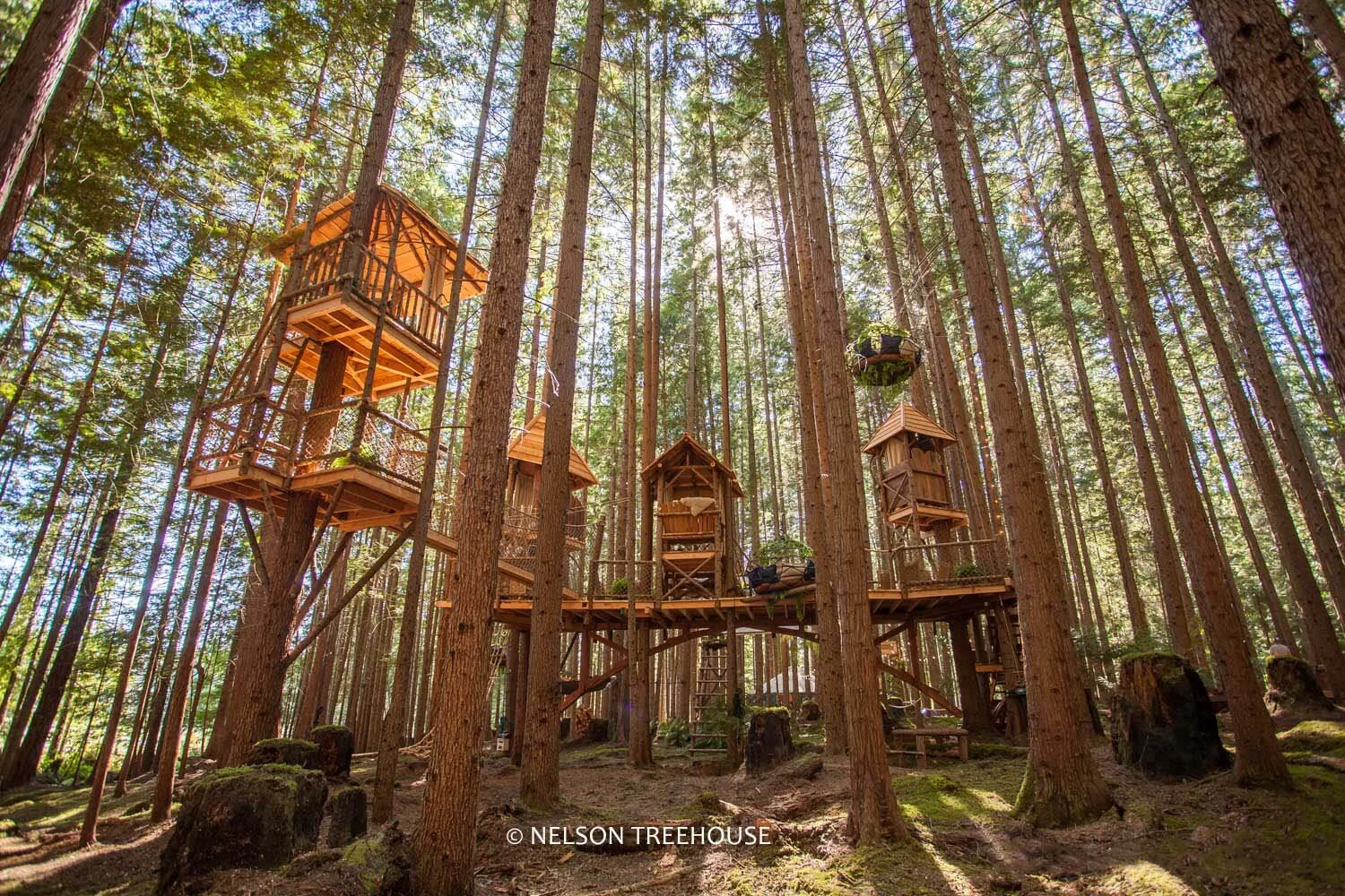 NTH Back Theater.jpg