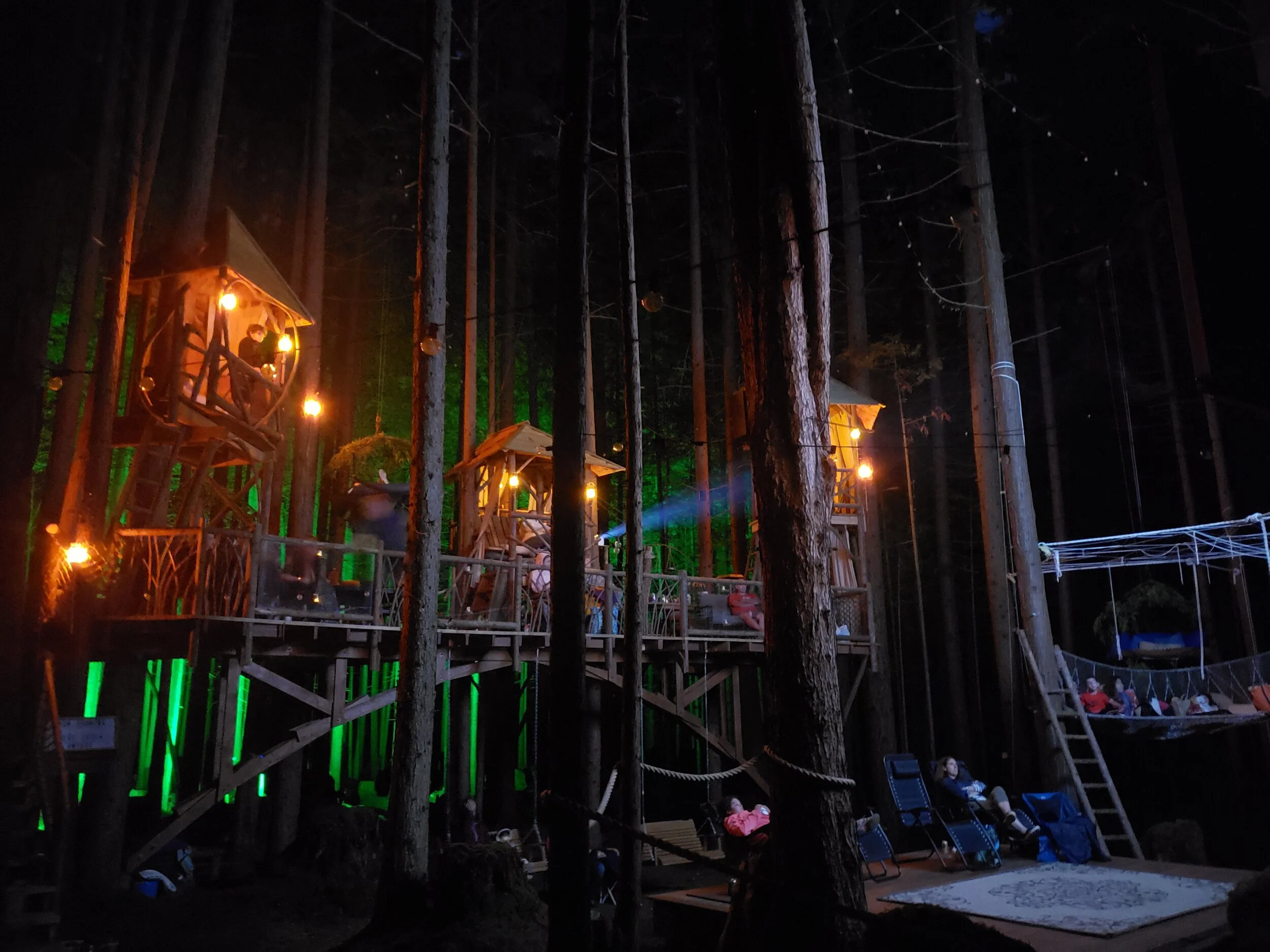 WATCH MOVIES UP IN THE TREES