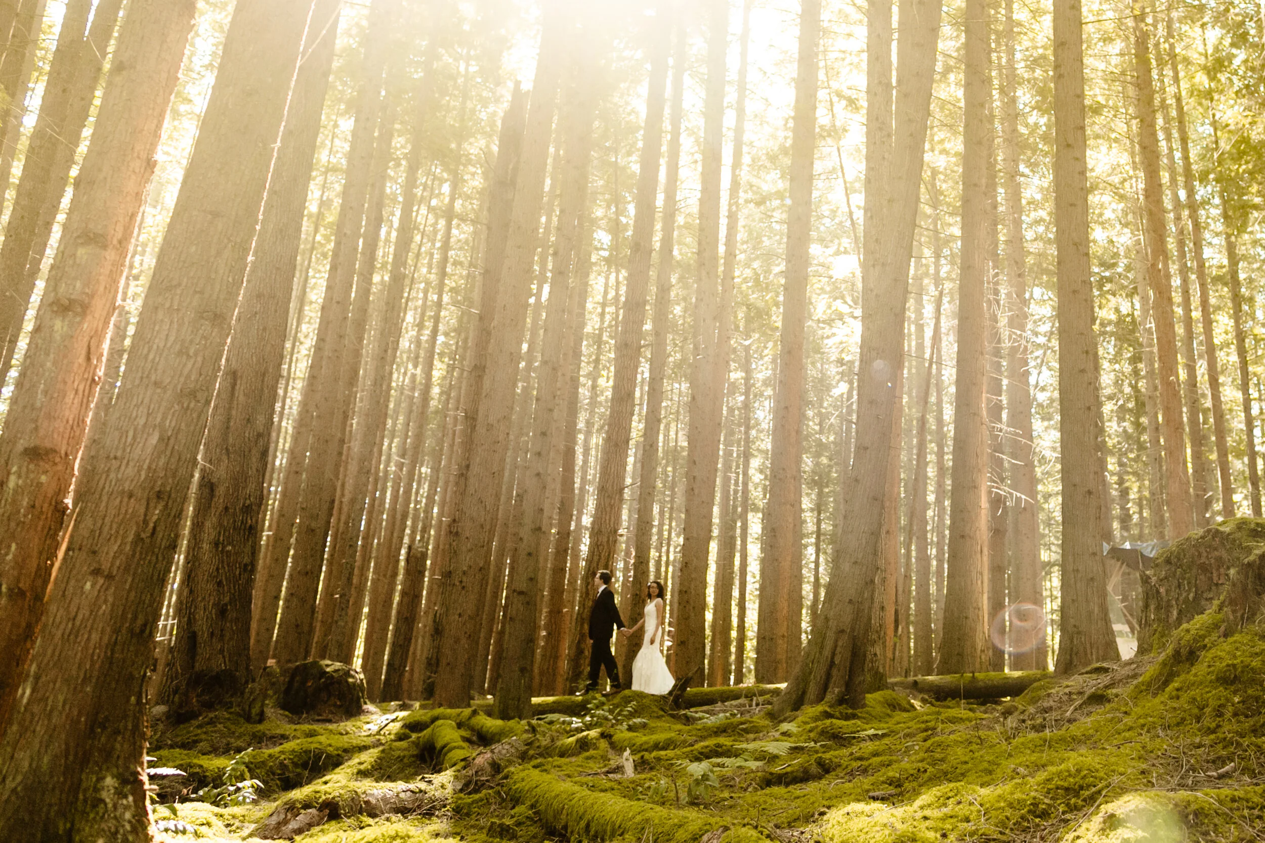 IDYLLIC ACREAGEFive acres of the most beautiful moss covered forest this side of Ireland.