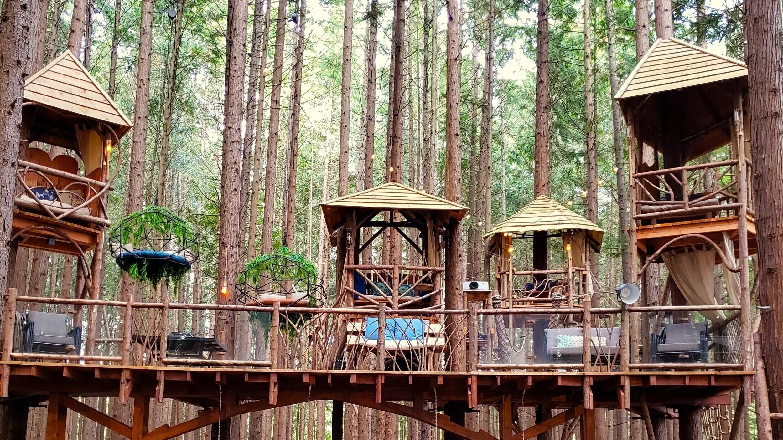 Includes use of the Climb-In Theater, projector, barbeque, and Gazebo with a 10 foot table. Concession stand candy, popcorn, and water included.