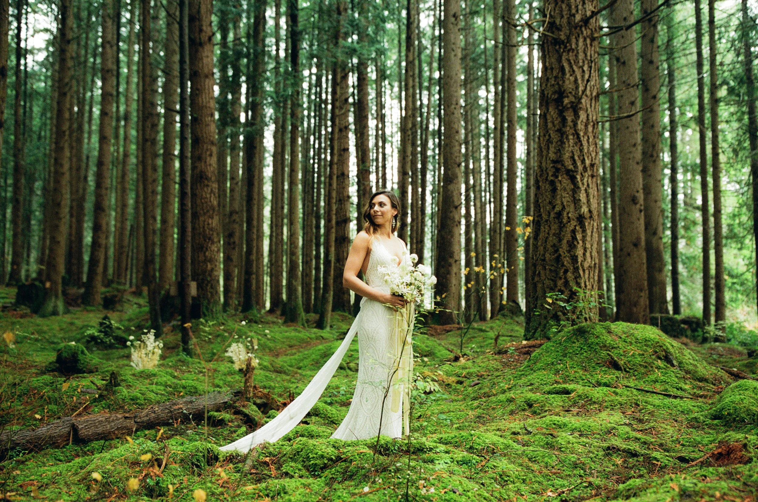 Weddings & Elopements