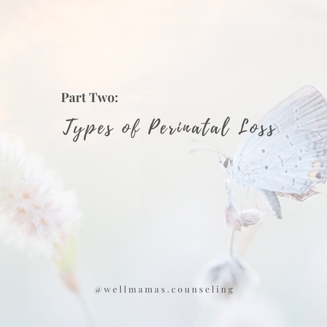 Perinatal Loss Series, Part Two: Types of Perinatal Loss⁣
Perinatal loss is devastating and can occur in several different ways. Some of the most common types of perinatal loss include:
~ Miscarriage - A miscarriage is the loss of a pregnancy before 