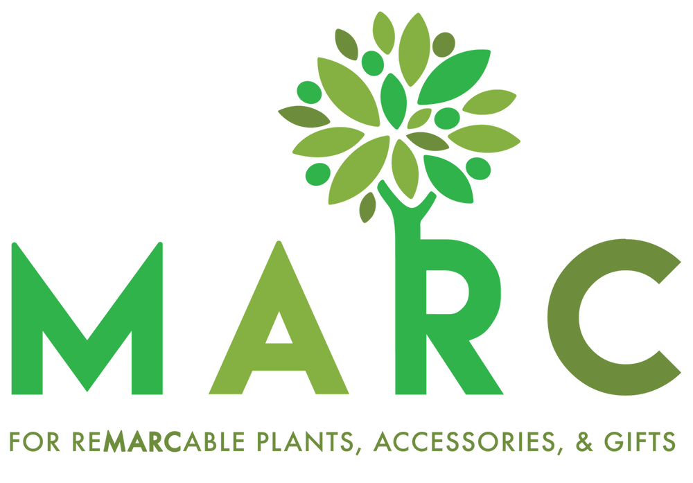 Key West Horticulture — Marc House