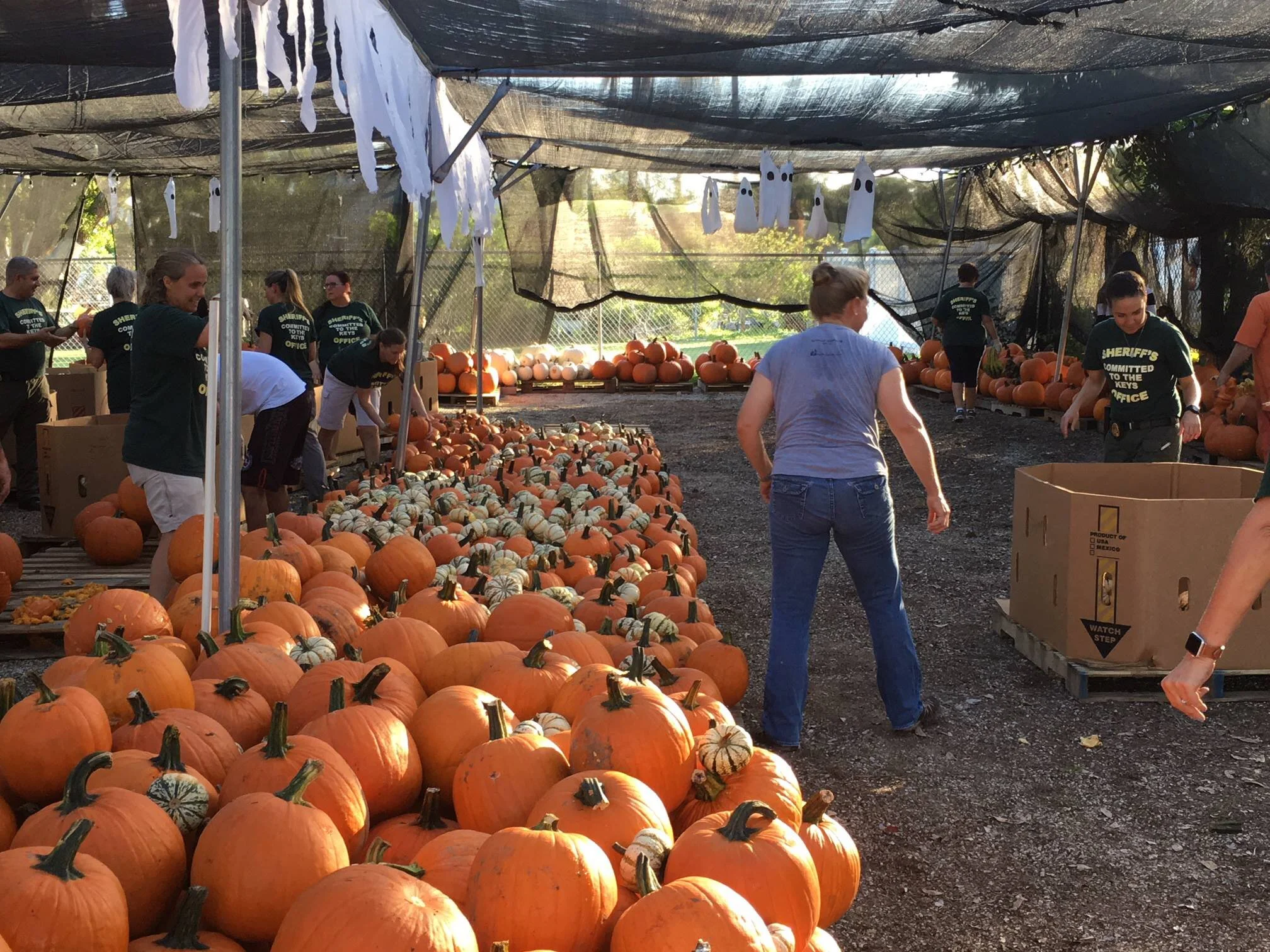 Key West Horticulture — Marc House