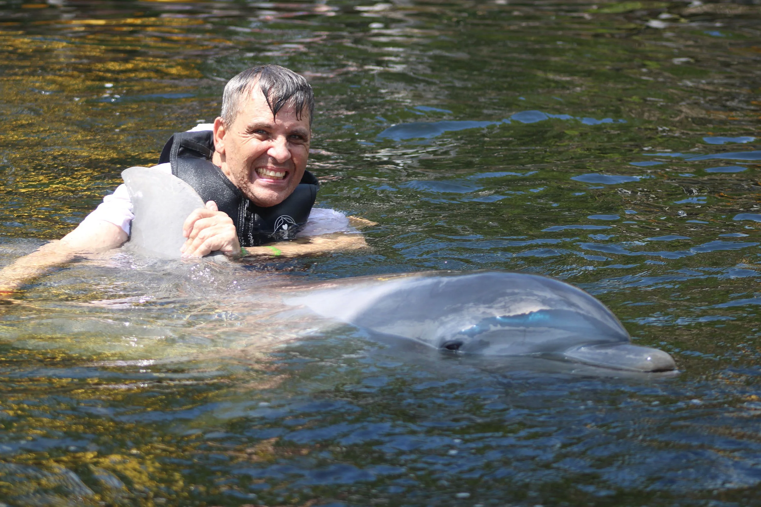 Thank You, Island Dolphin Care!