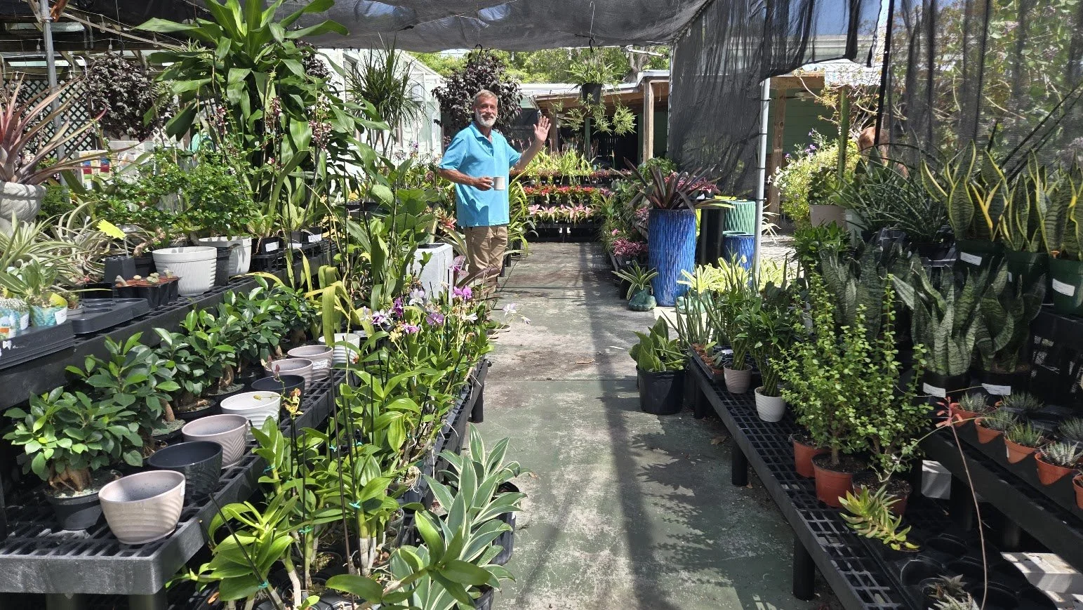 plant store.jpg