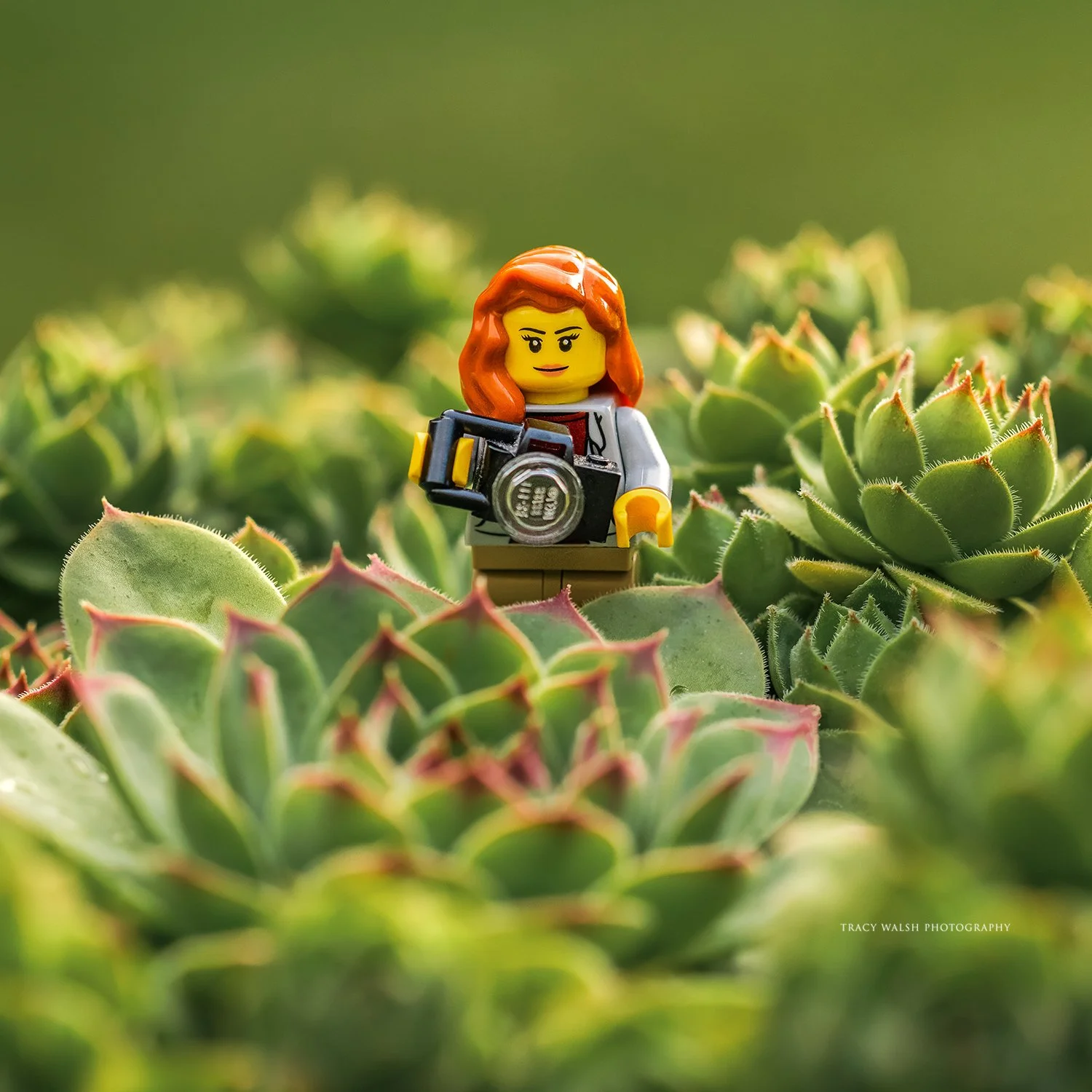 Mini Fig Photographer_Tracy Walsh.jpg