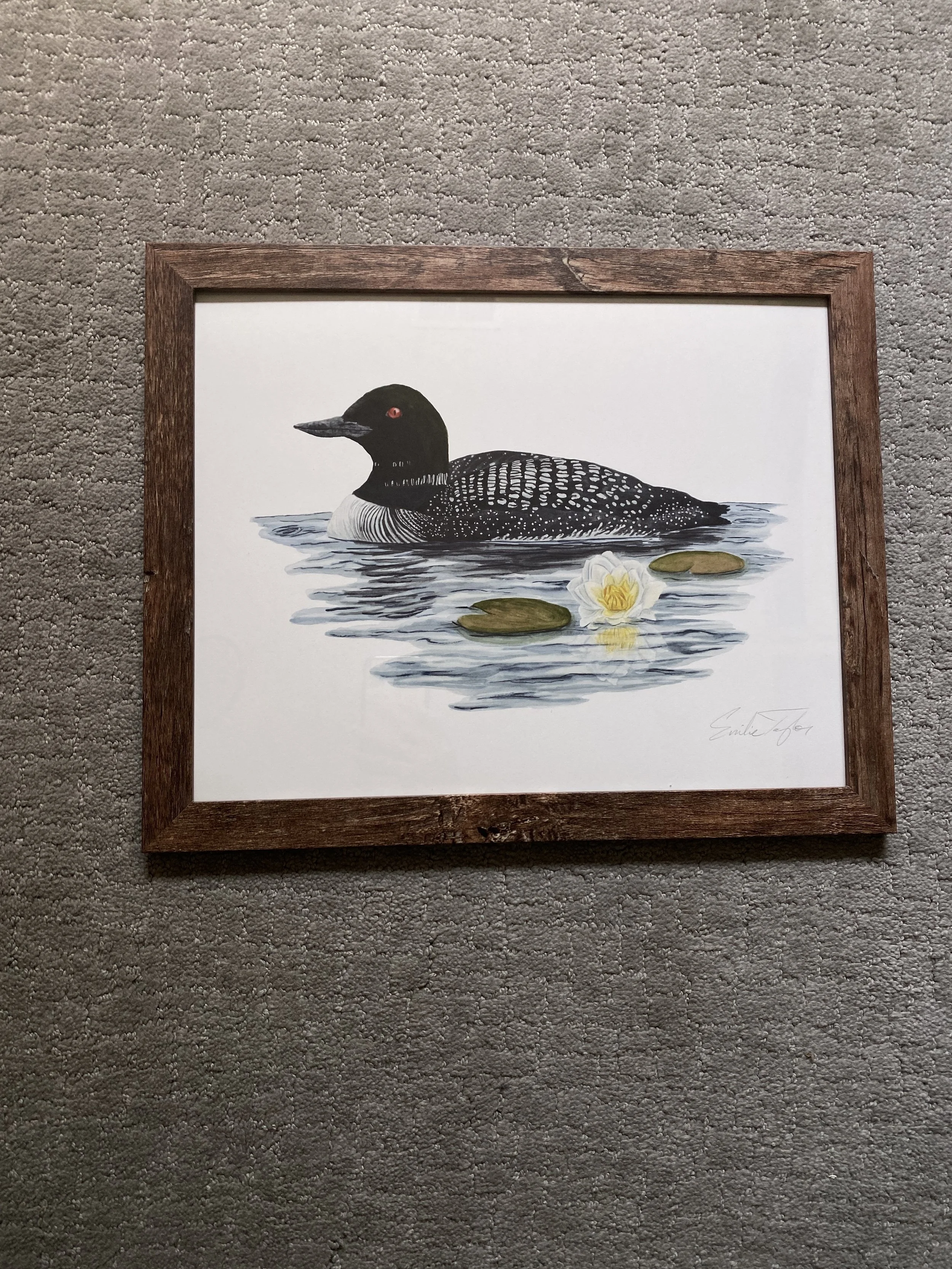 Loon - Emilie Taylor.JPG