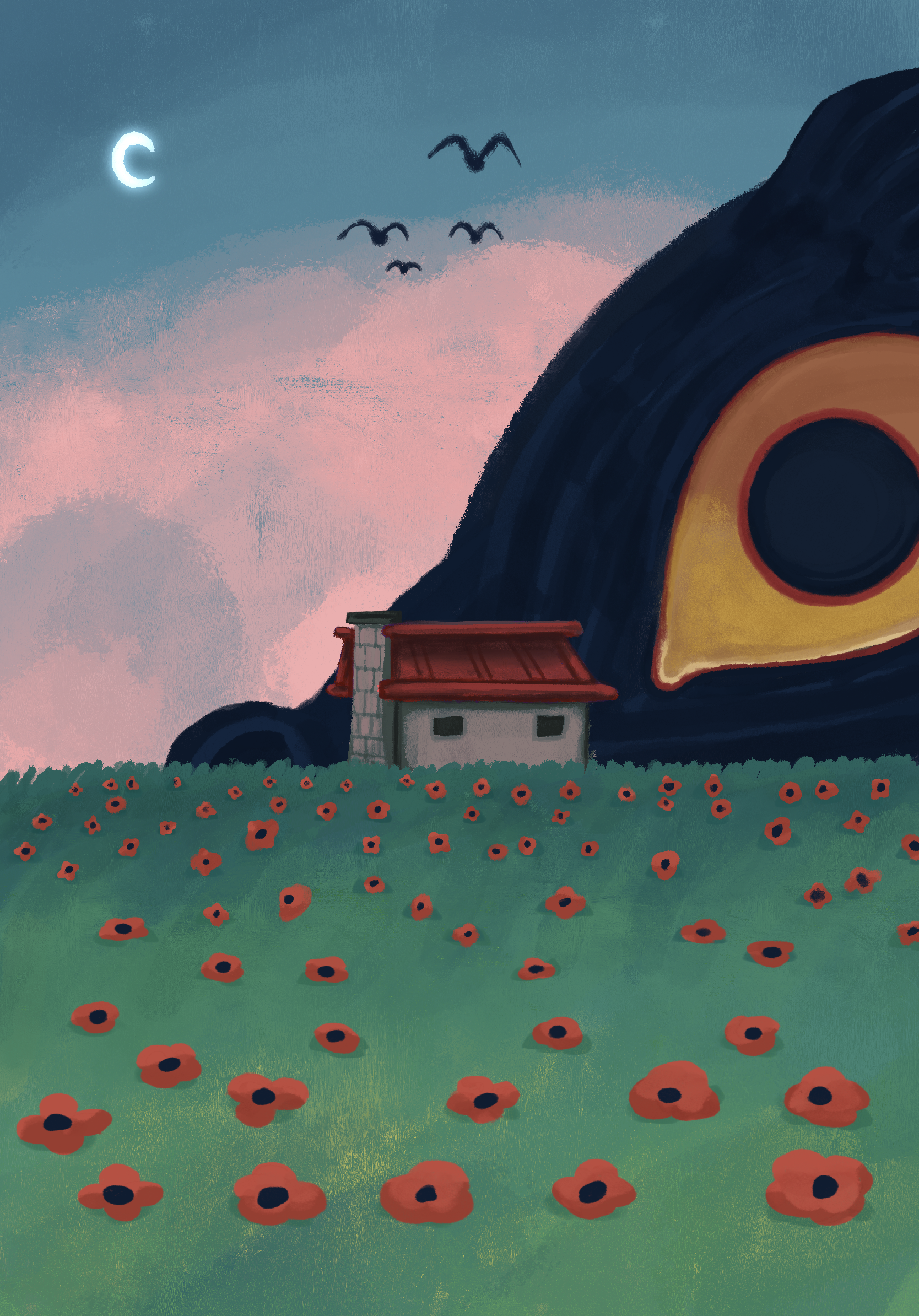 Morning Poppies.PNG