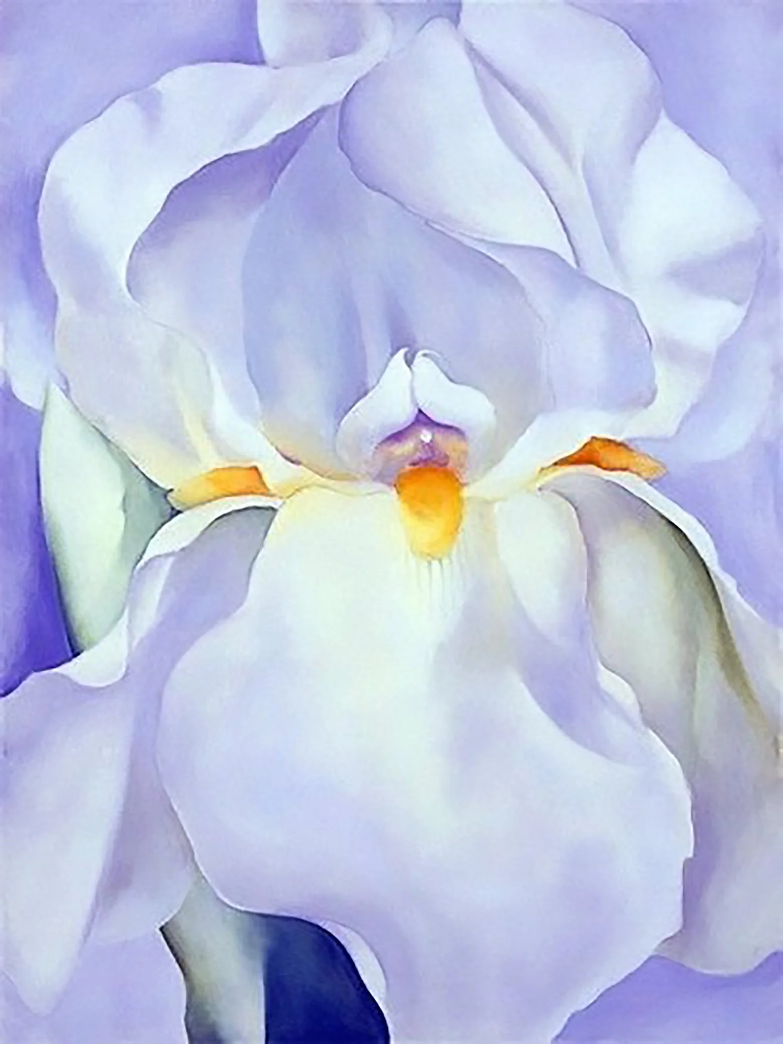  Georgia O'Keeffe's White Iris in Acrylic with Aryn