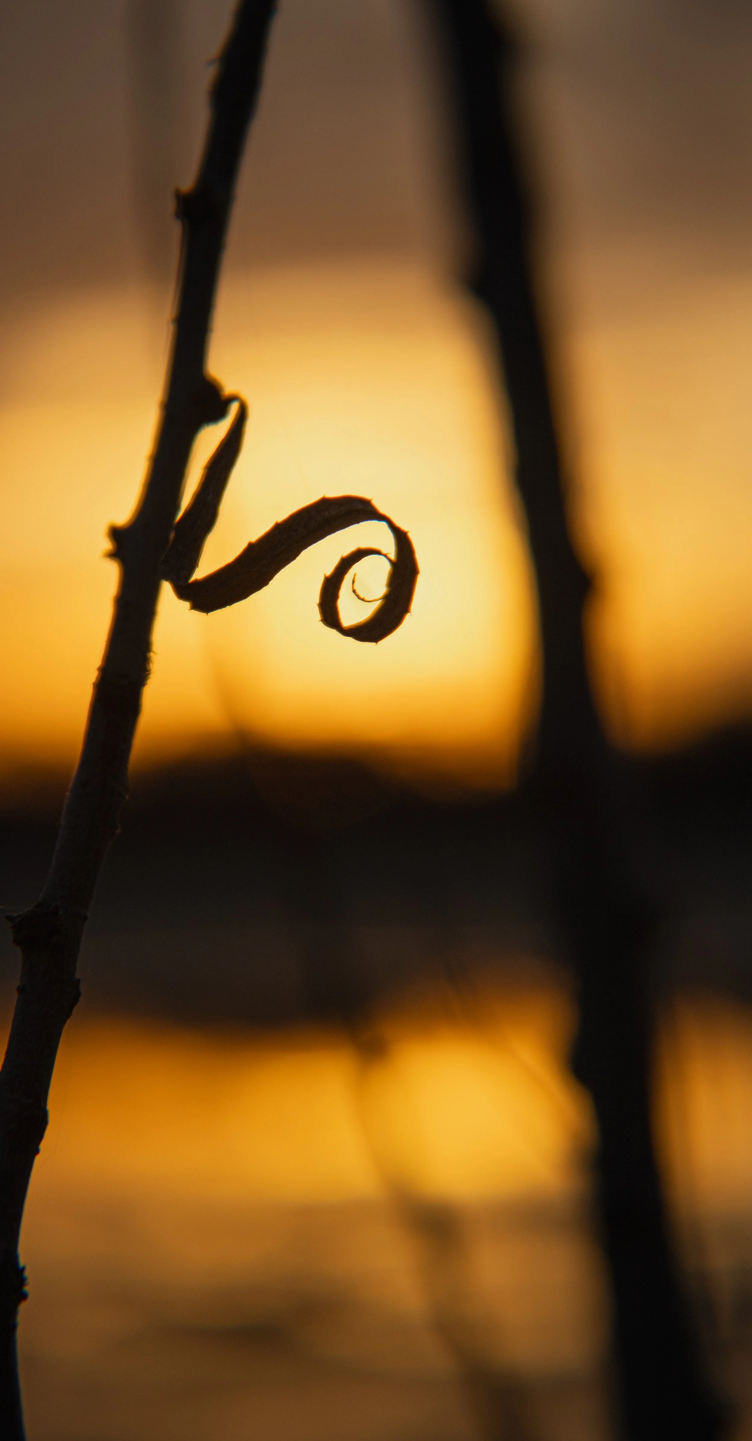 Jaylen Johnson - Unnoticed Perfection.jpg