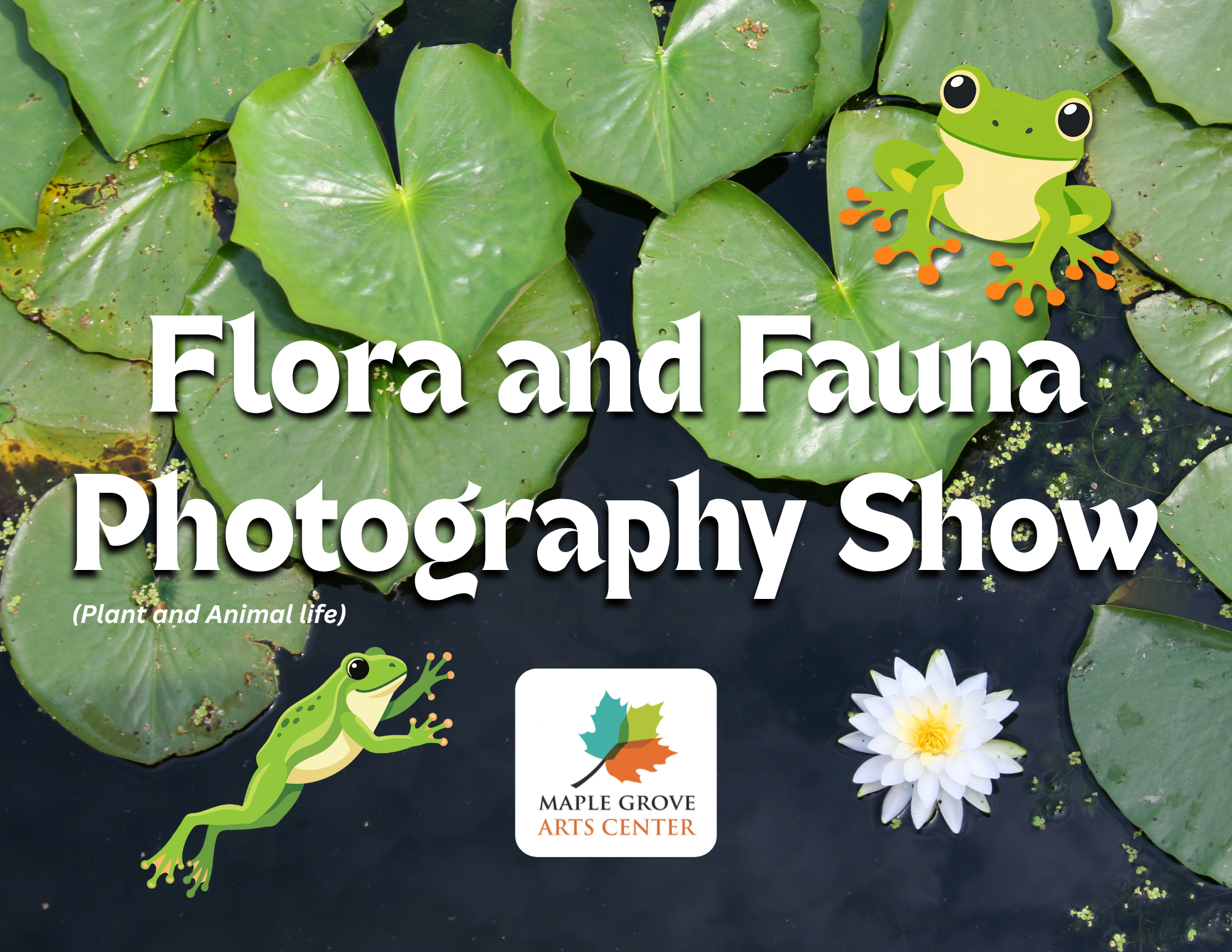 Flora &amp; Fauna