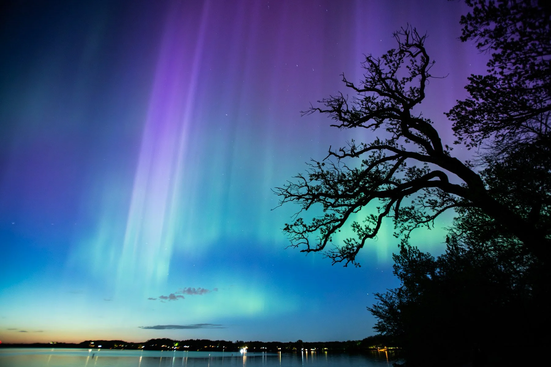 Chasing Auroras -  Rachel Hall.jpg