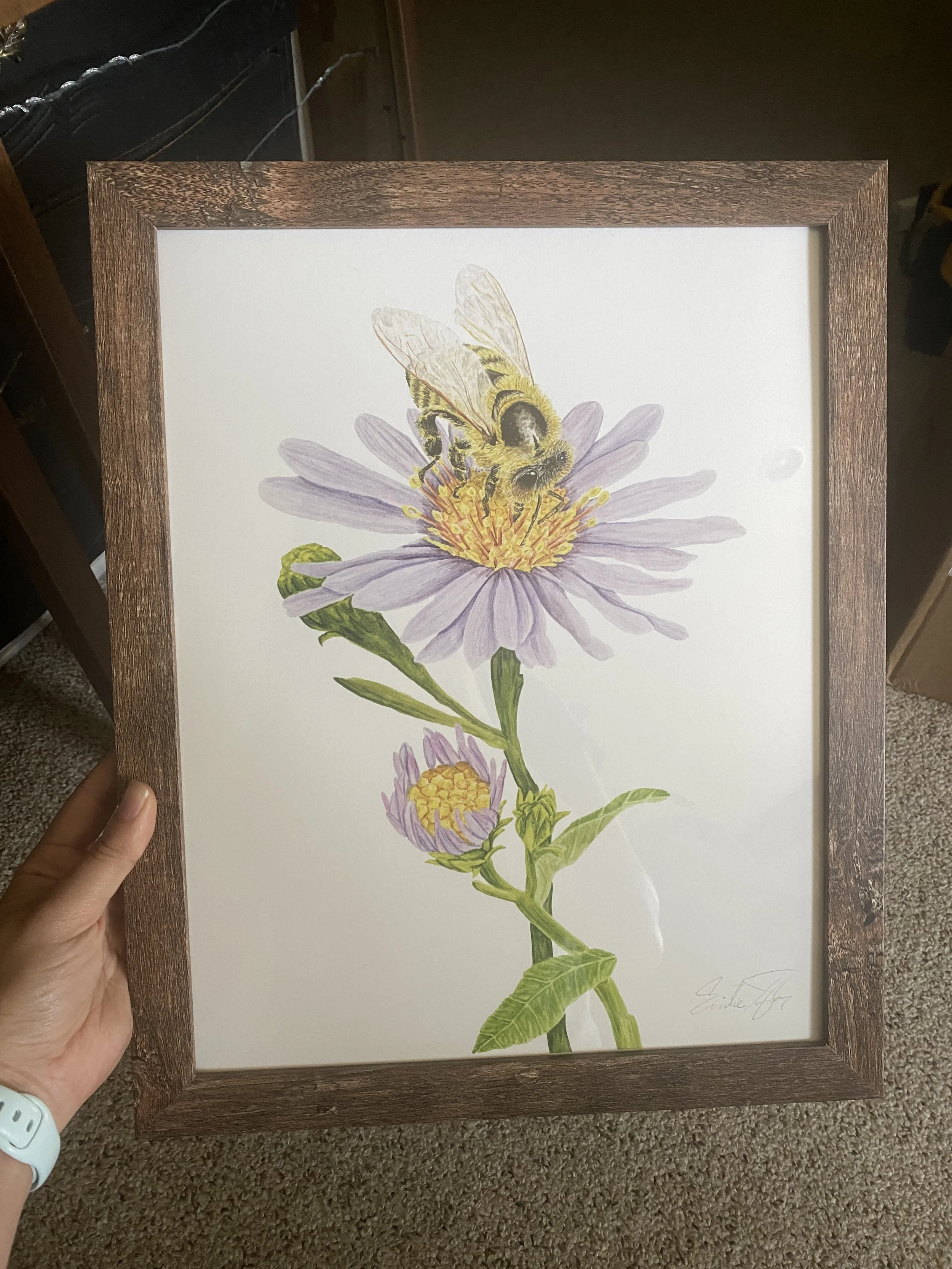 Honey Bee - Emilie Taylor.JPG