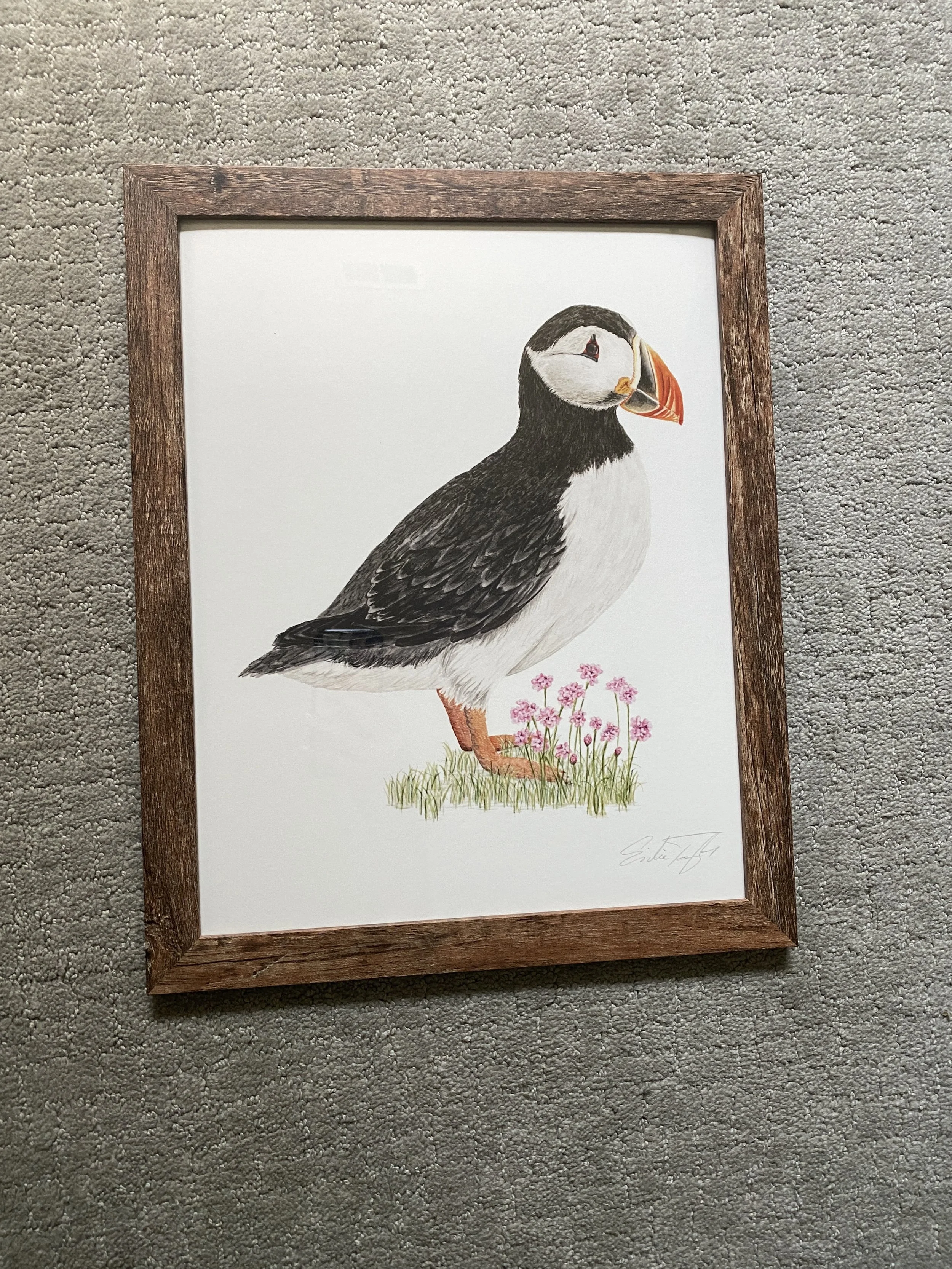 Puffin - Emilie Taylor.JPG
