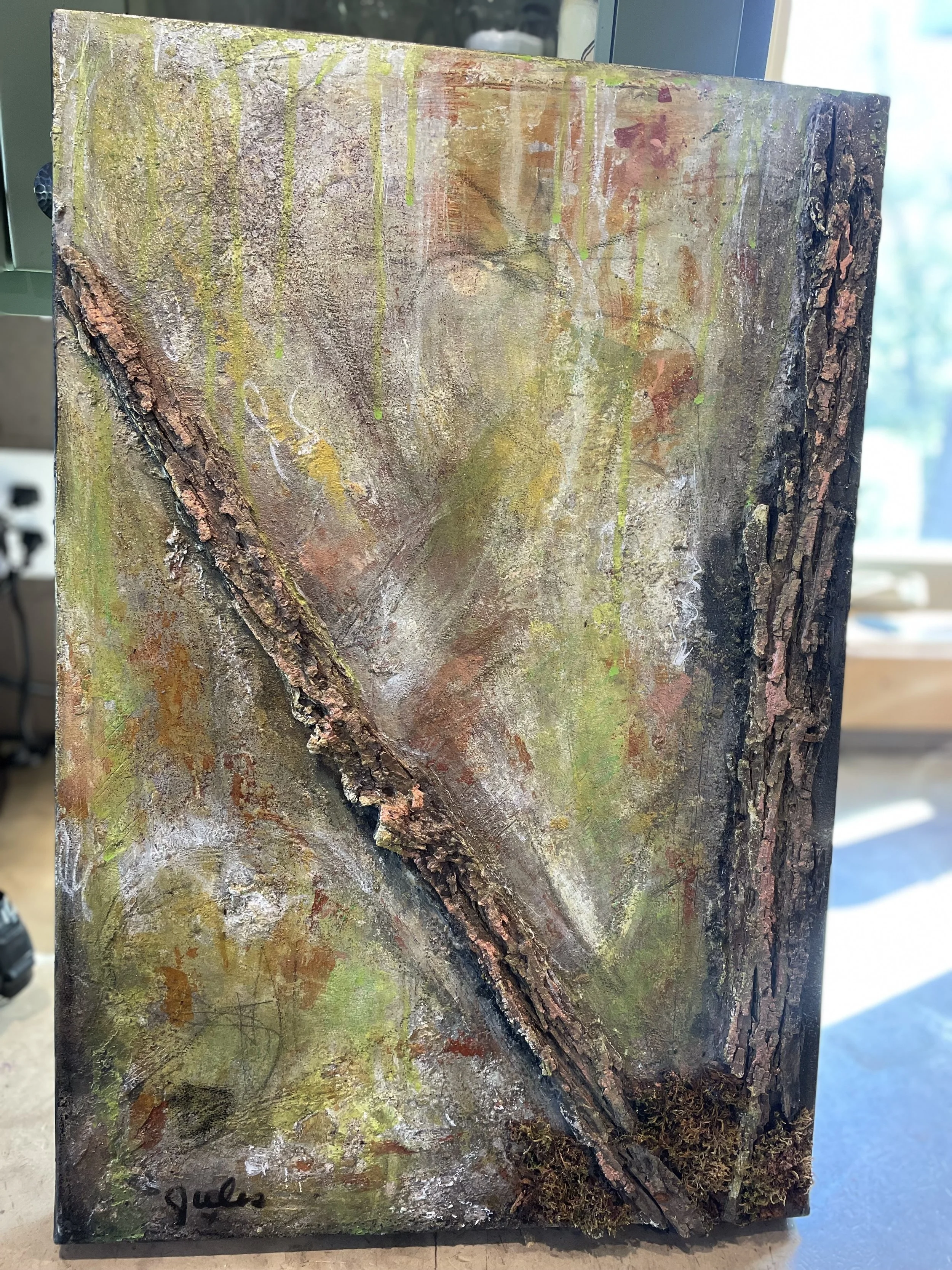 Massey bark by Julie Miller.jpeg