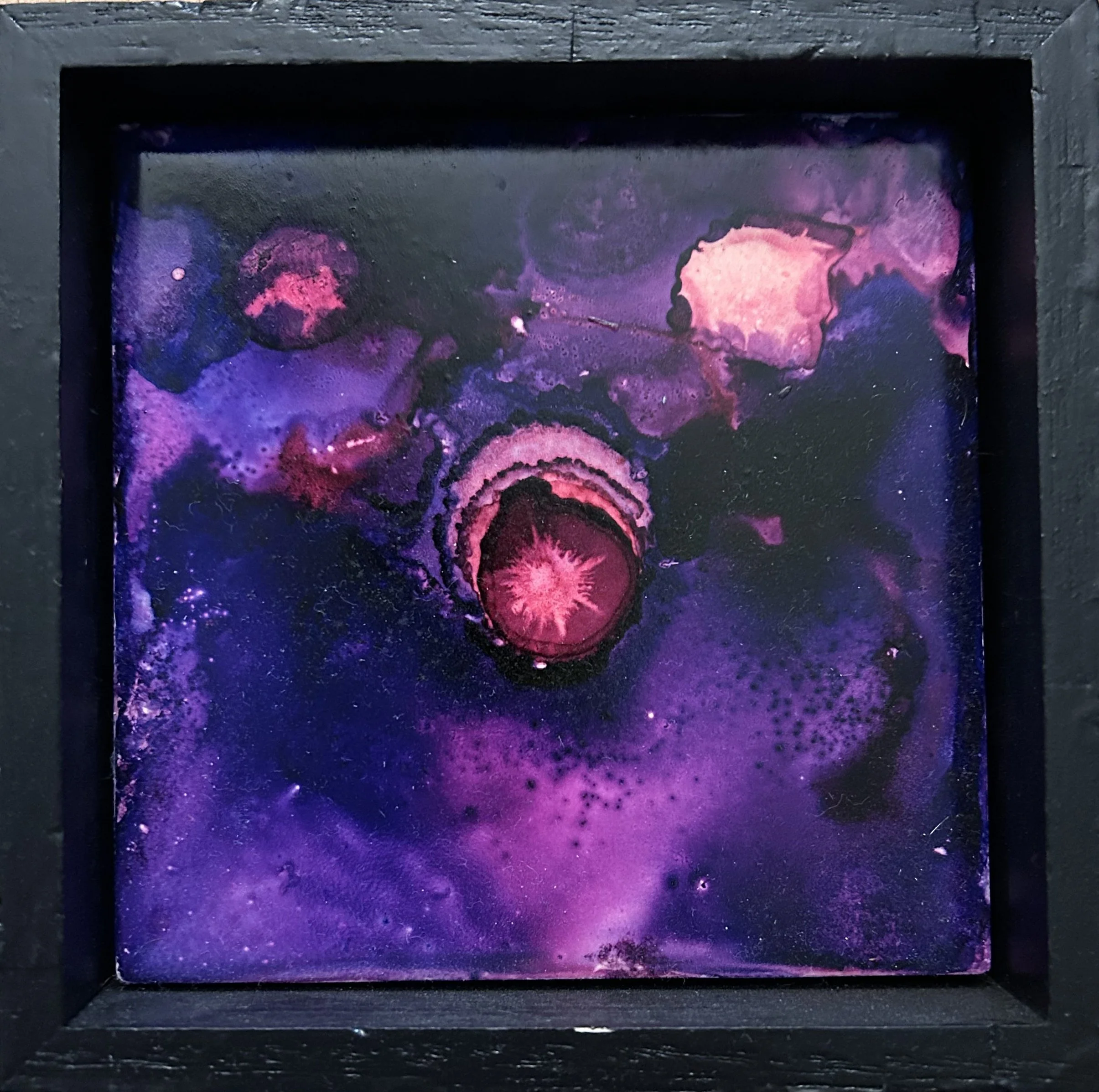 Violet Star_Keith Stangeland.jpeg