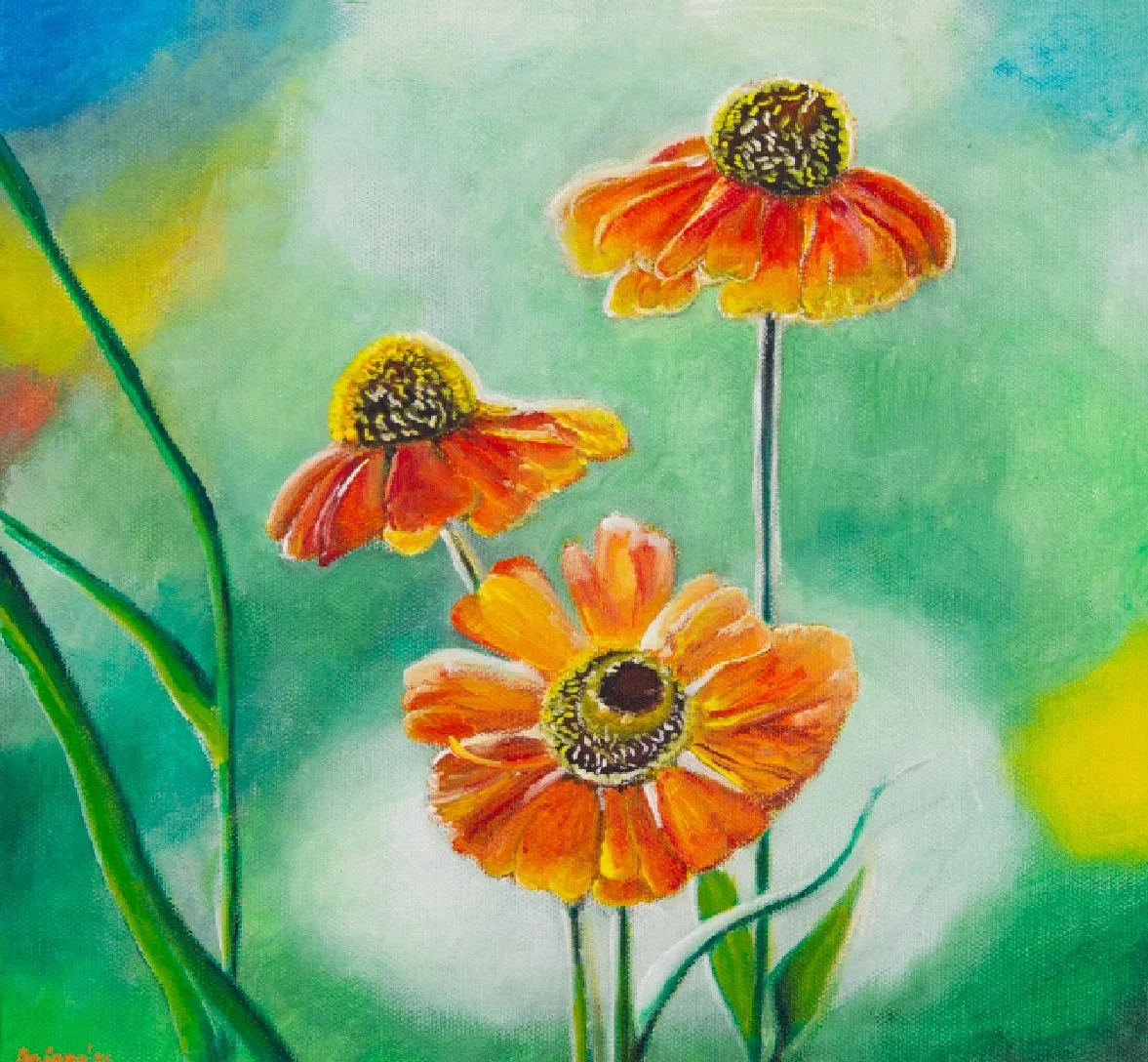 orange wild flowers.jpg