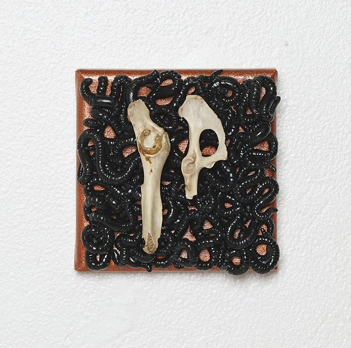 orange detail 1_Emily Landberg.JPG