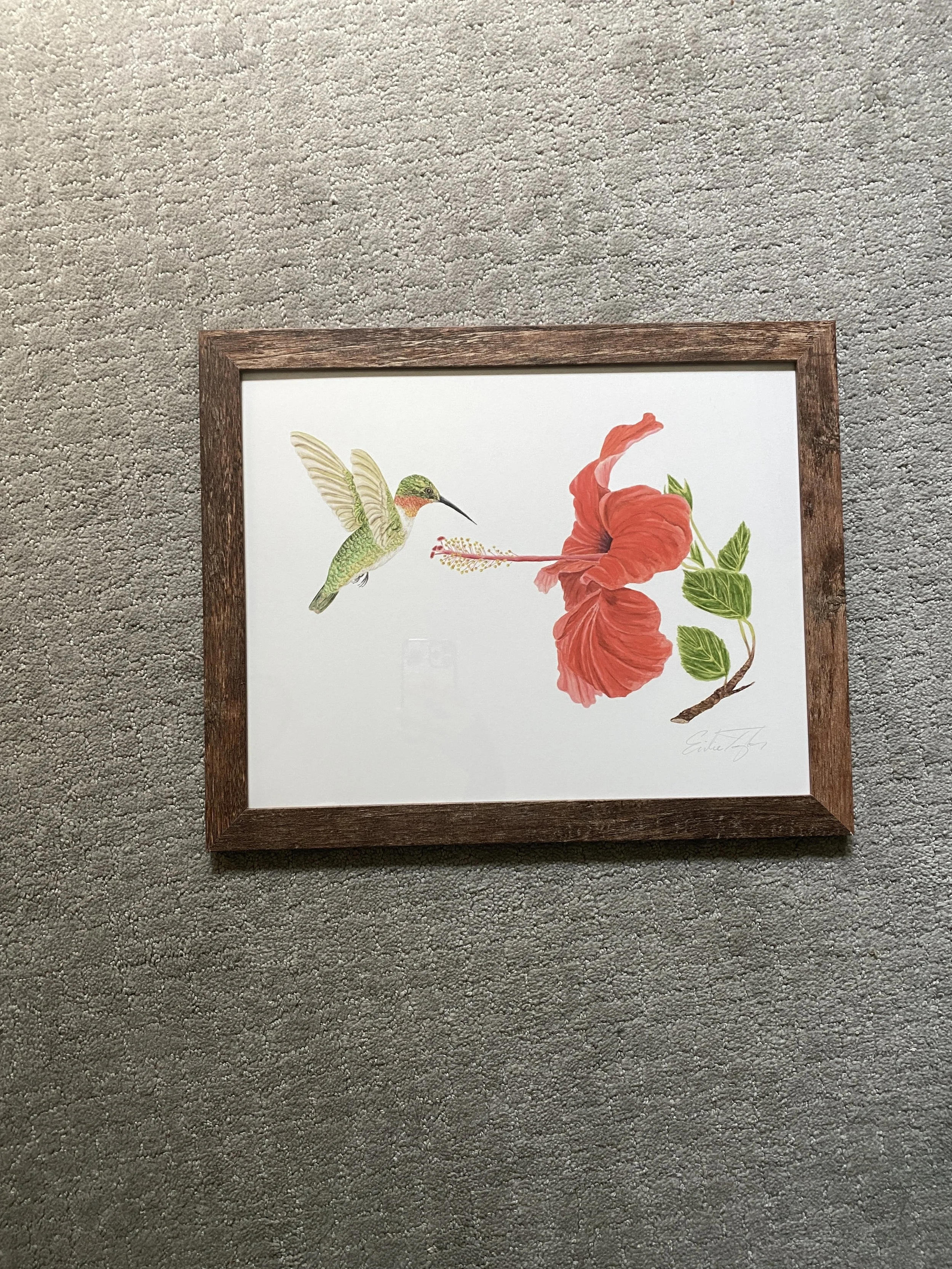 Hummingbird - Emilie Taylor.JPG