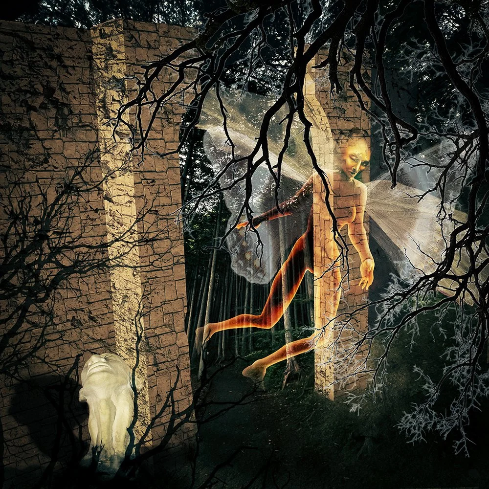 AnimaAnimus by Karen Wilcox.jpg