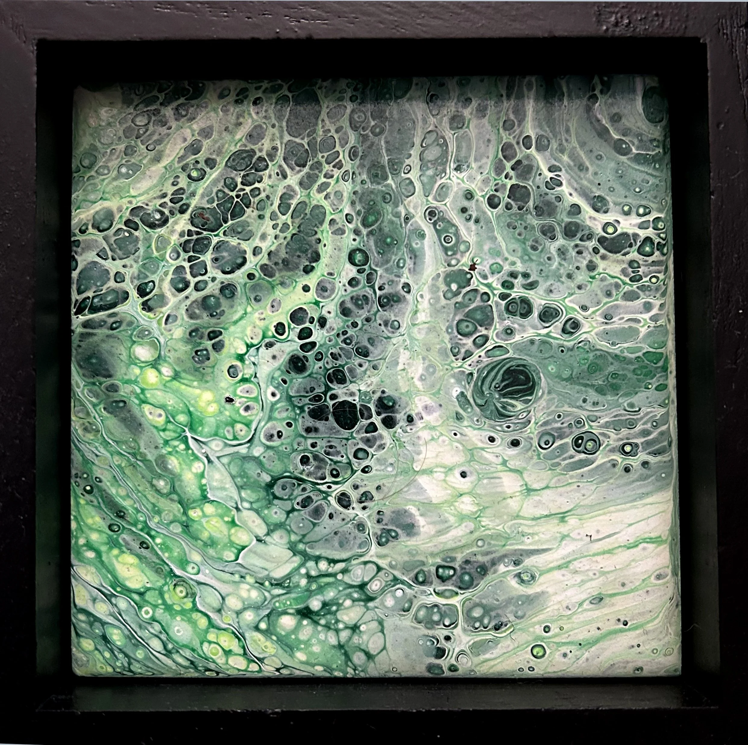 Turtle Time_Keith Neil Stangeland.jpeg