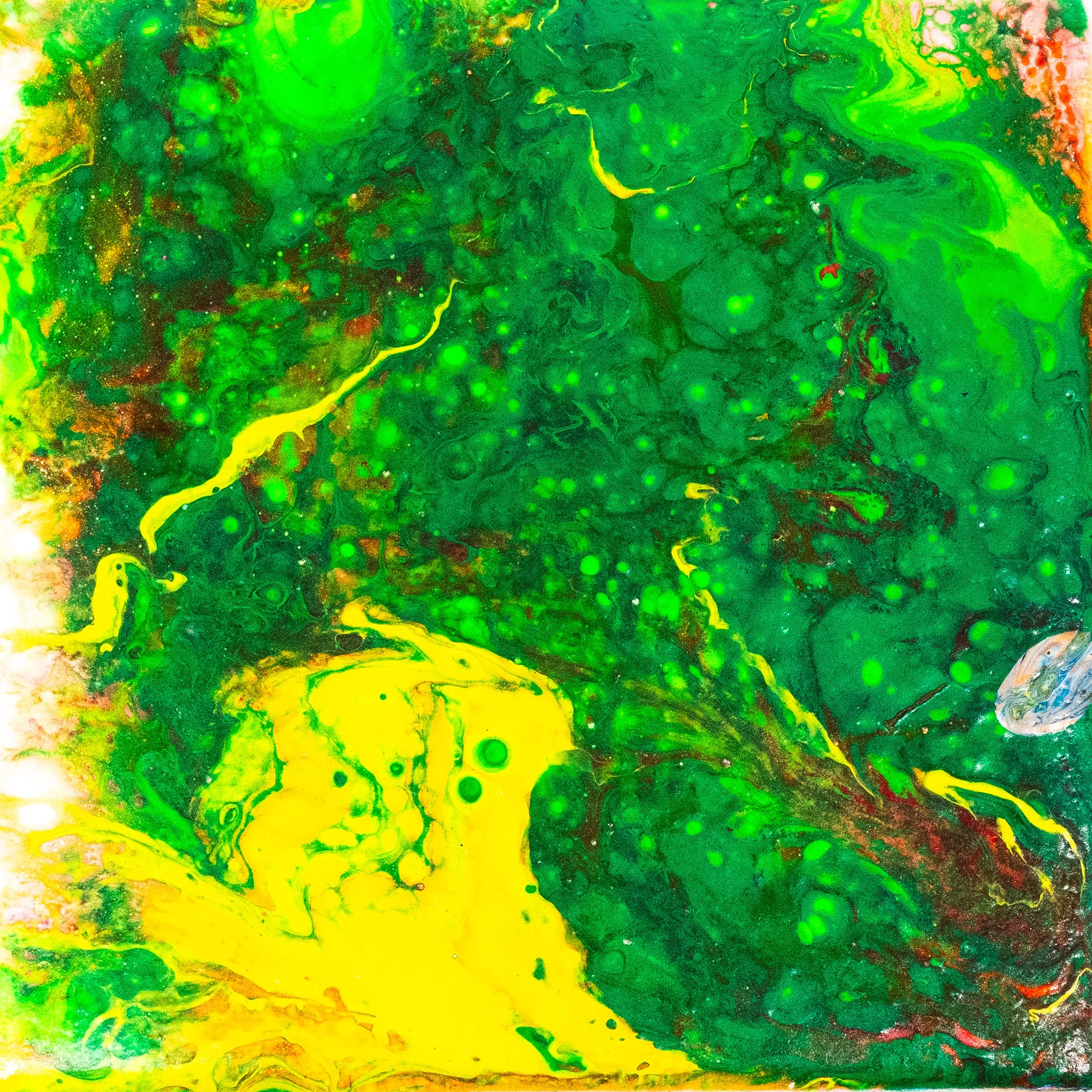 Shenlong Powerful - Keith Stangeland.JPG