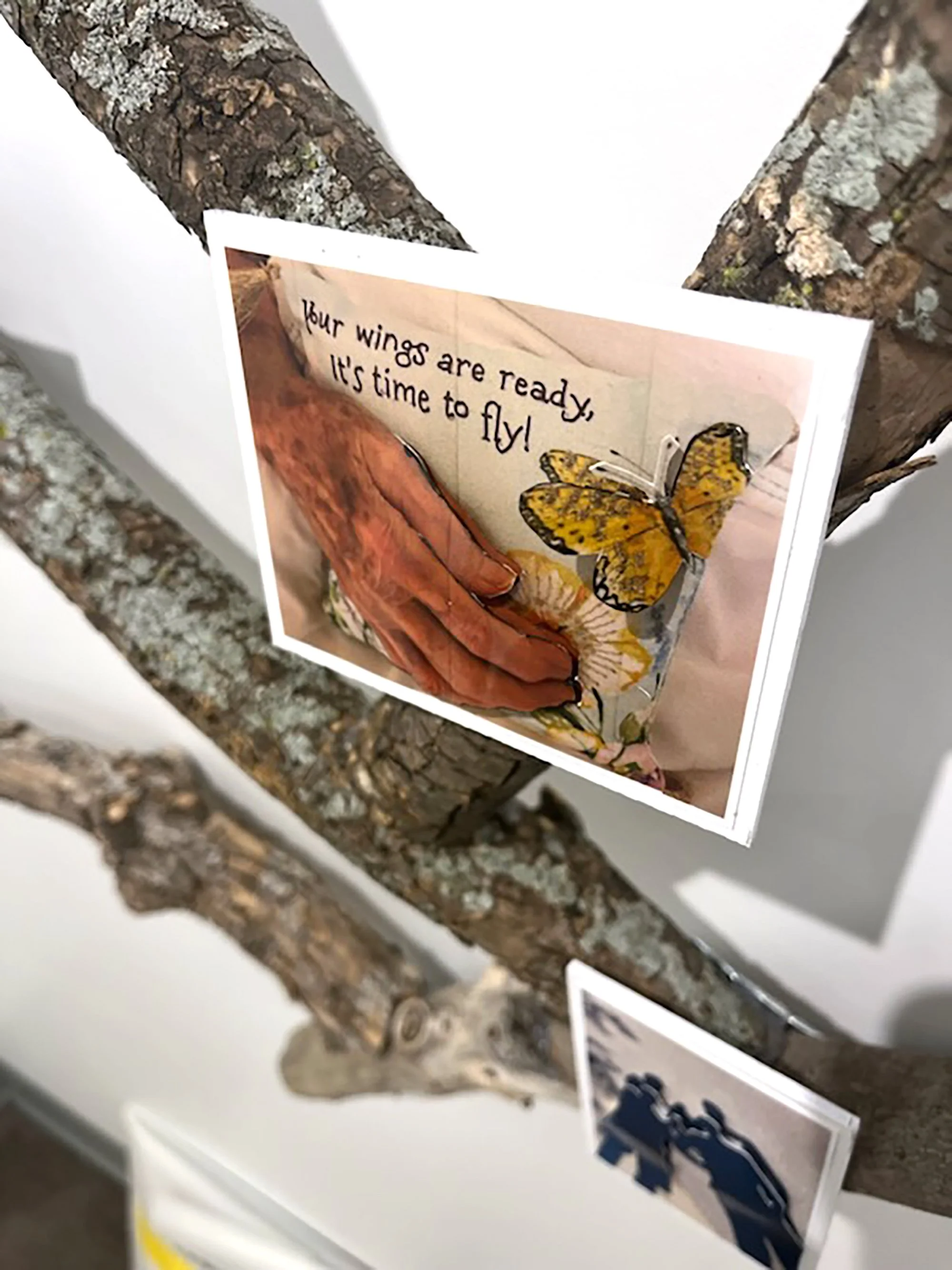 Tree of Life by Chuck Skajewski 3.jpg