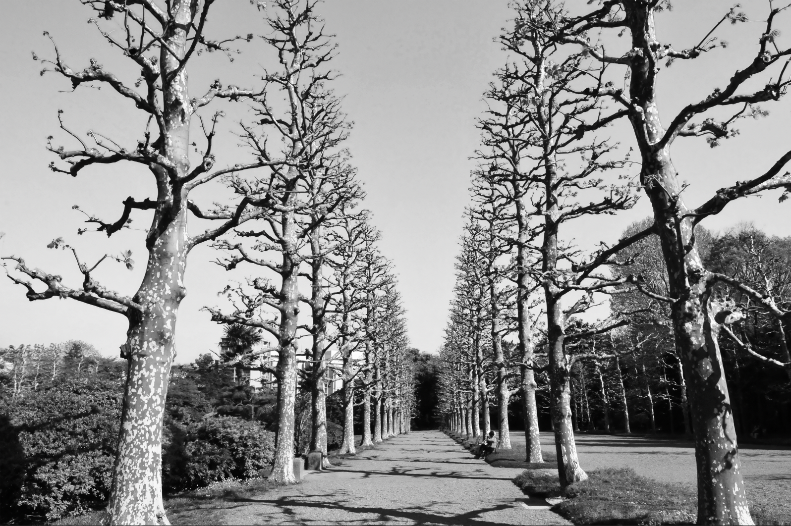 Pathway to Mindfulness by Erin Mechell.png