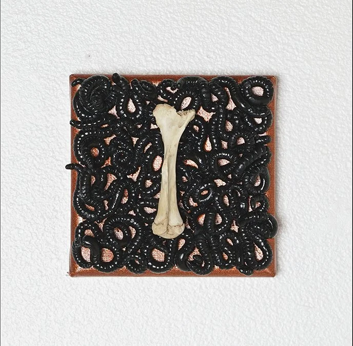 orange detail 3_Emily Landberg.JPG