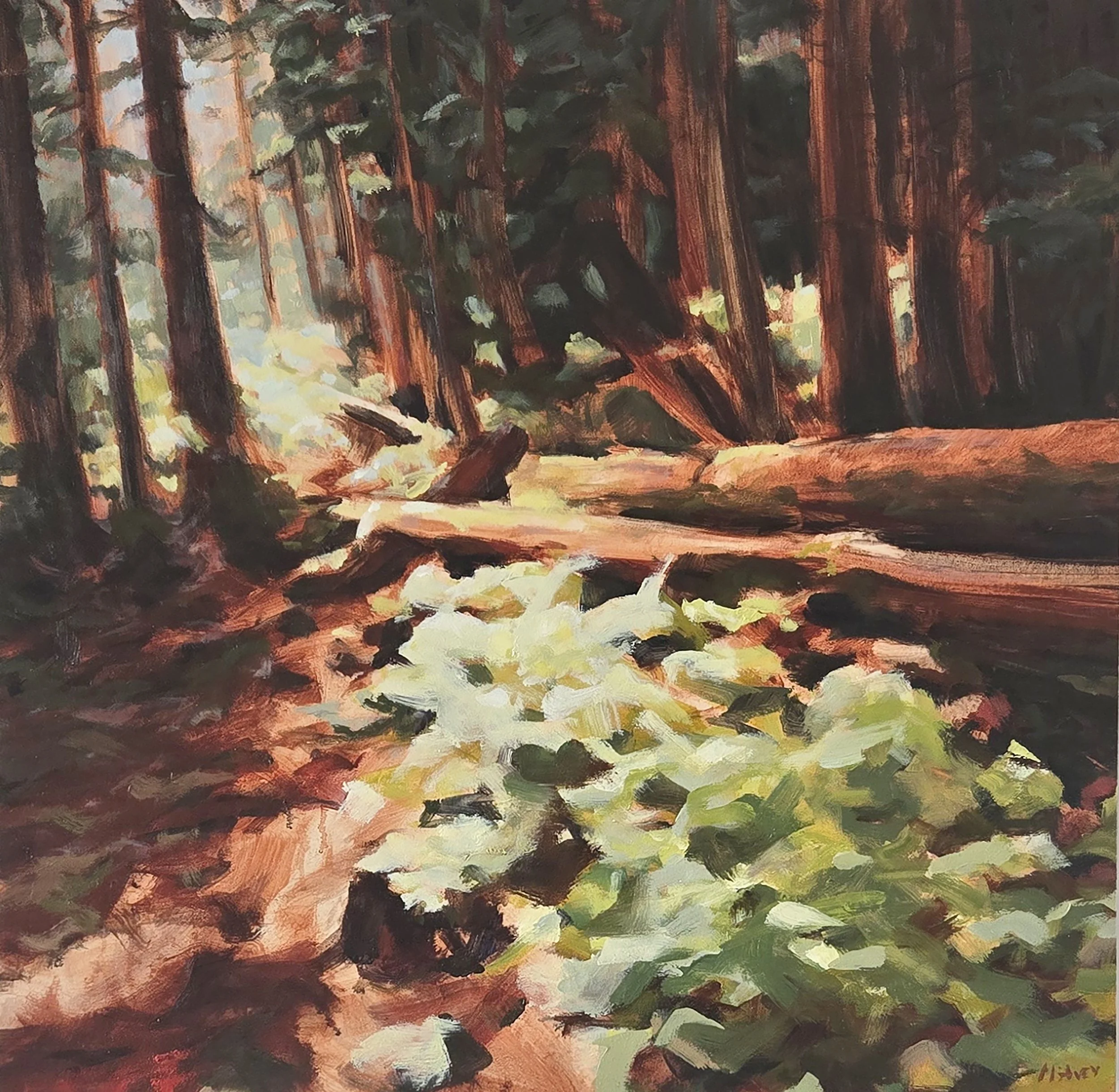 Light_Spills_In_Dan_McAvey (1).jpg