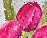 tulip.small.jpg