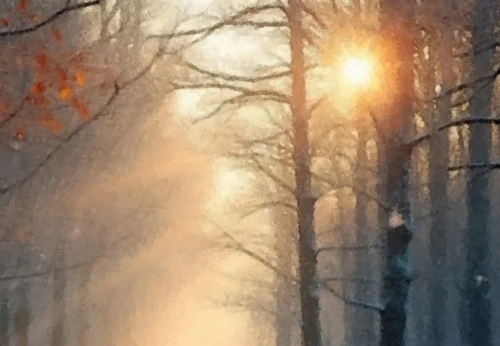 Snowy+Dawn.jpg