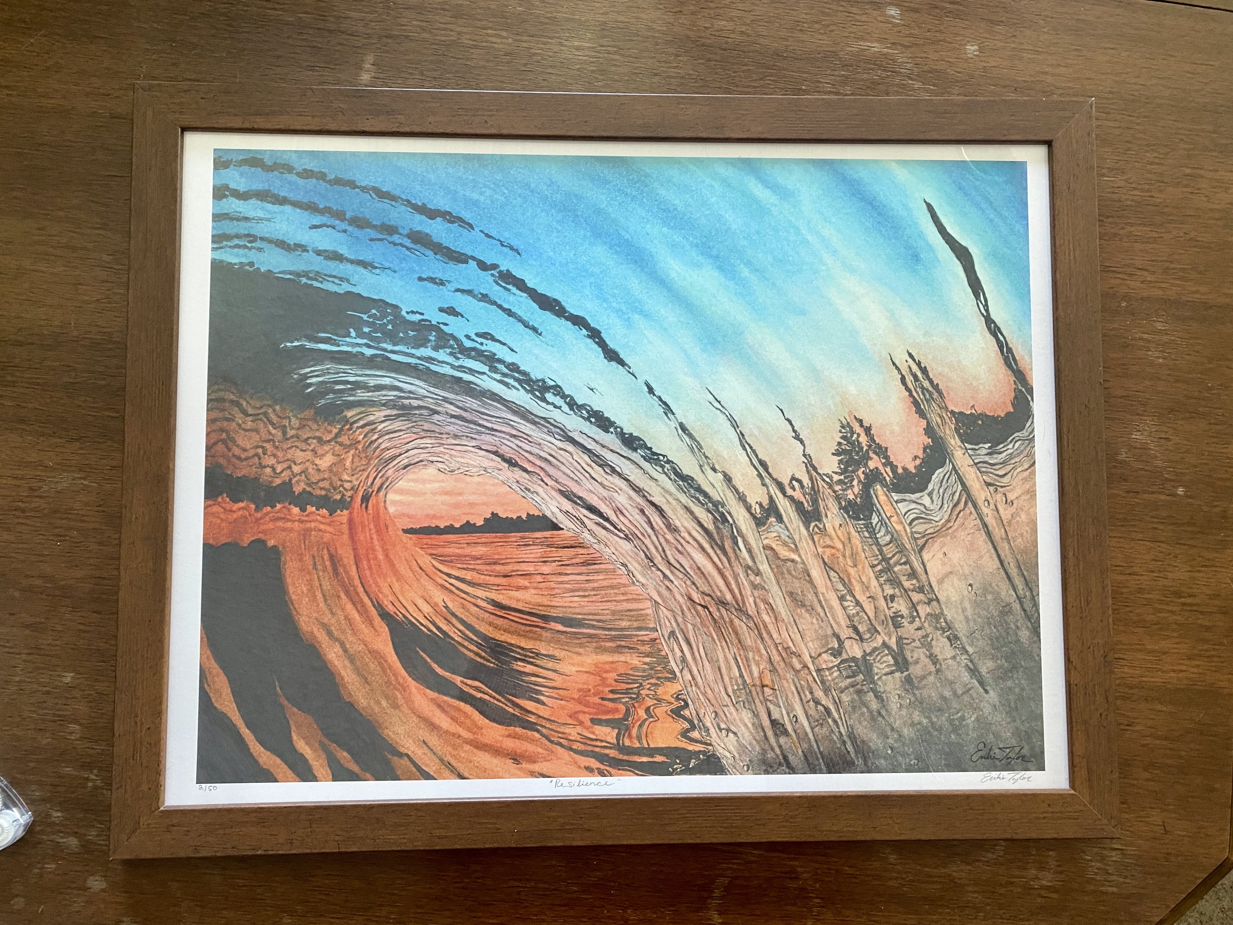 Emilie Taylor - Resilience.JPG