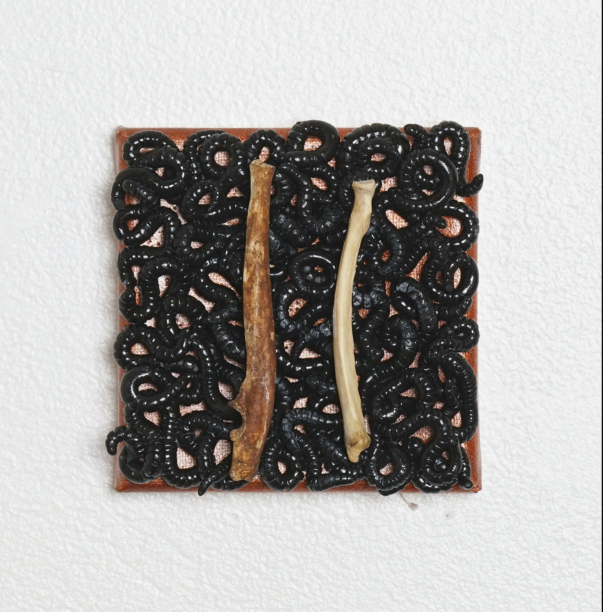 orange detail 2_Emily Landberg.JPG